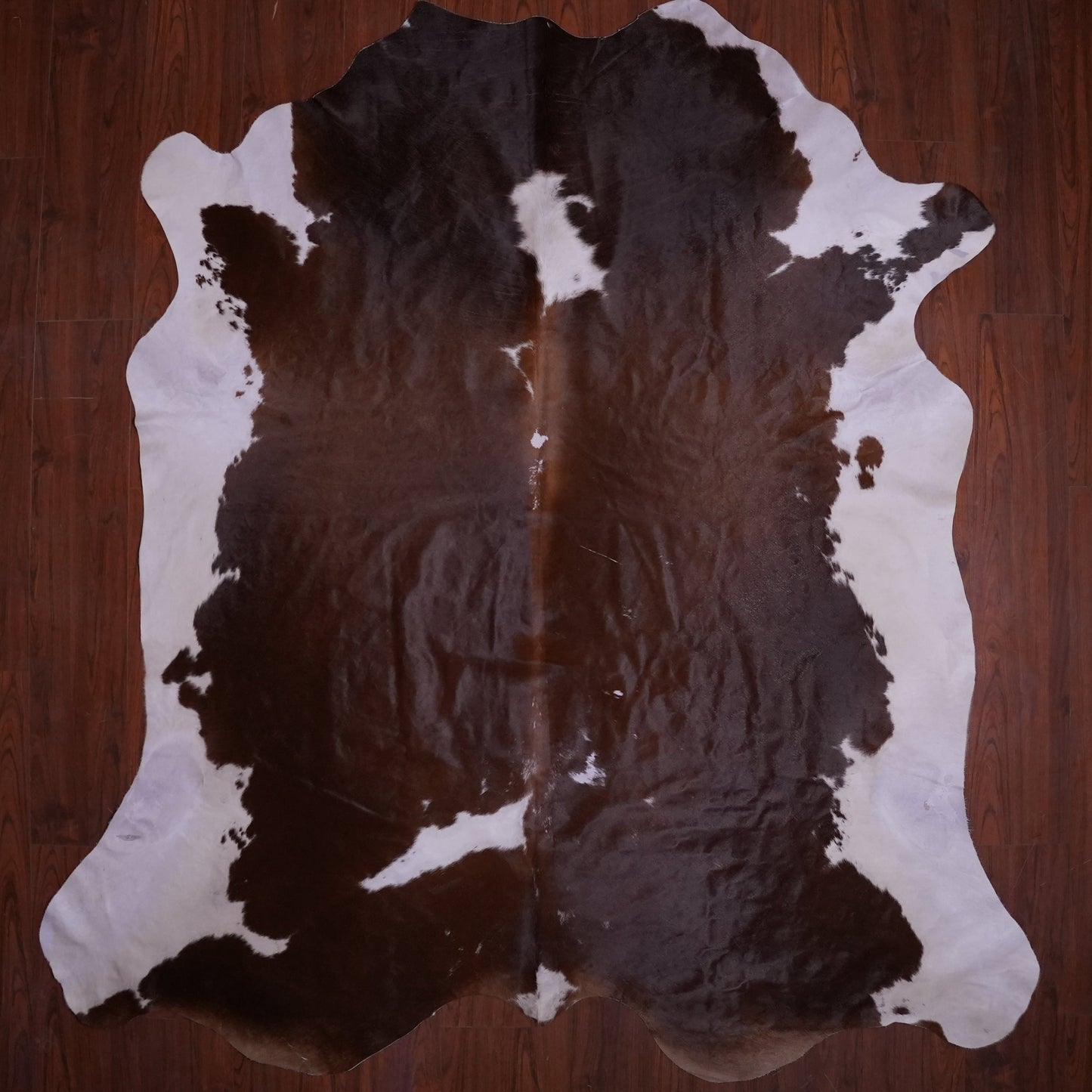 A Grade Nguni Hide 580 (Brown/White) (XL)