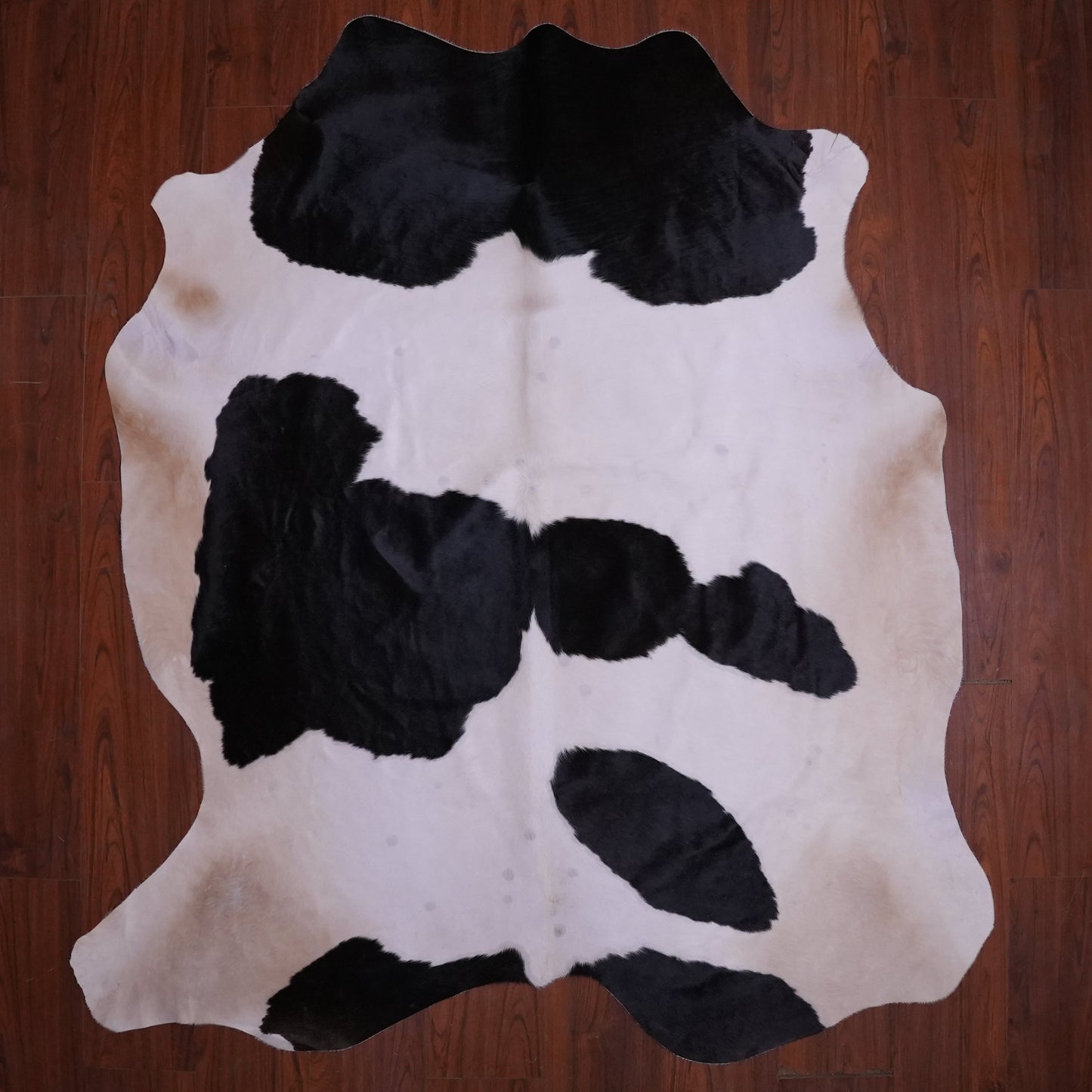 A Grade Nguni Hide 578 (Black/White) (L)