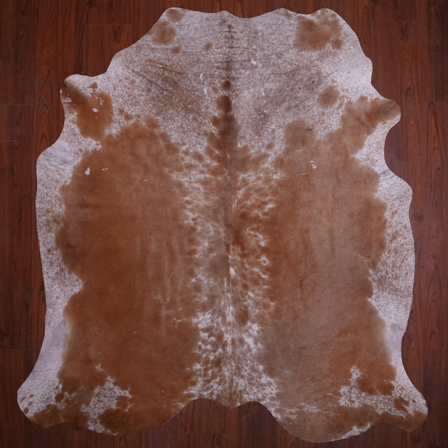 BS Grade Nguni Hide 576 (Brown/White) (M)