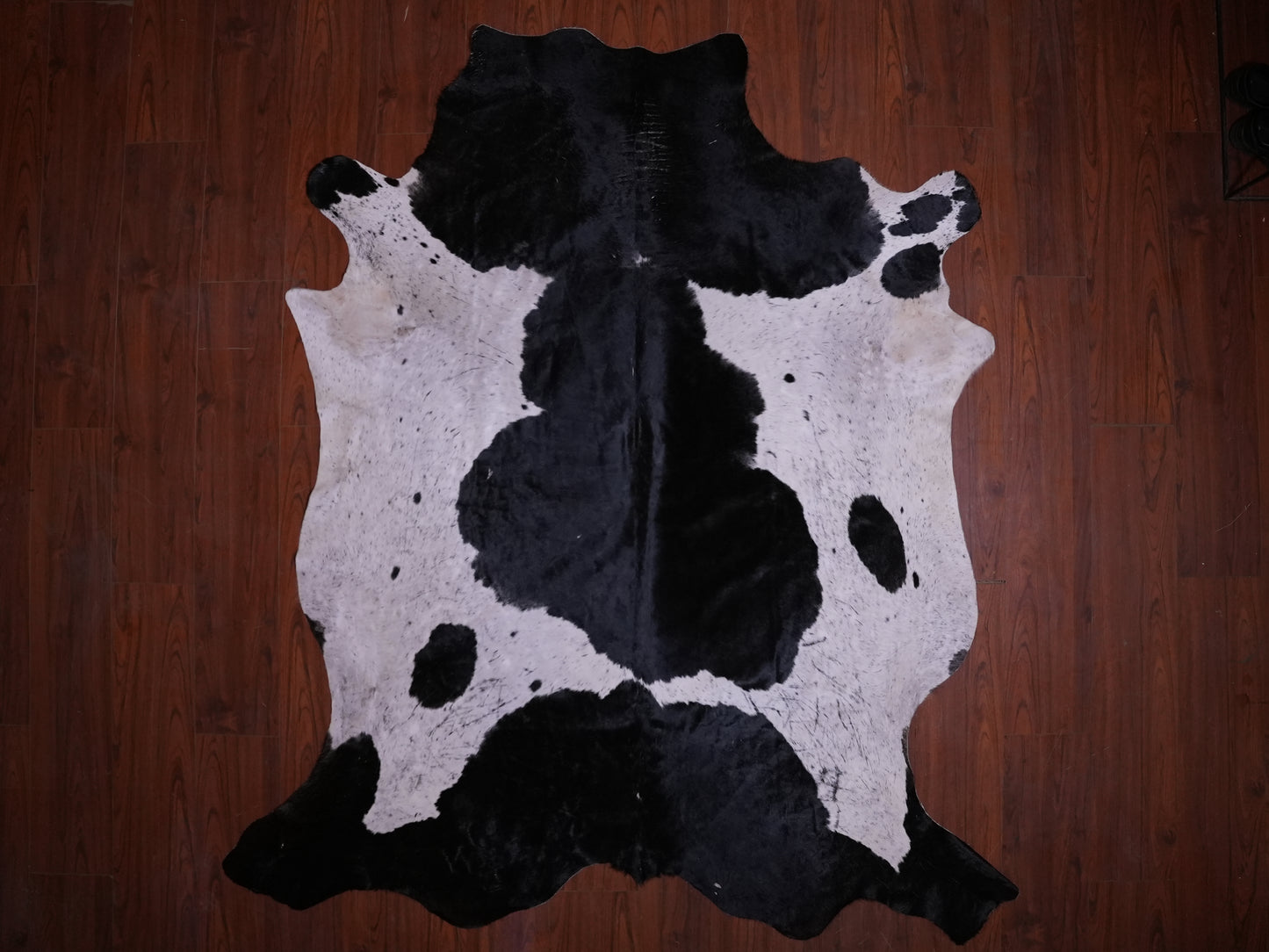 BS Grade Nguni Hide 577 (Black/White) (XL)