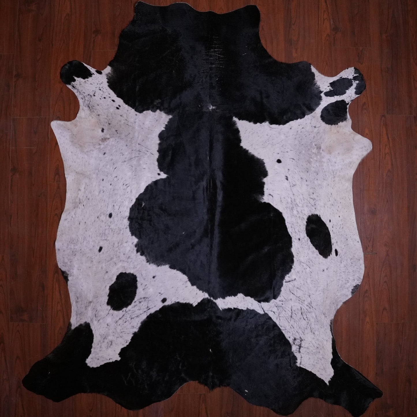 BS Grade Nguni Hide 577 (Black/White) (XL)