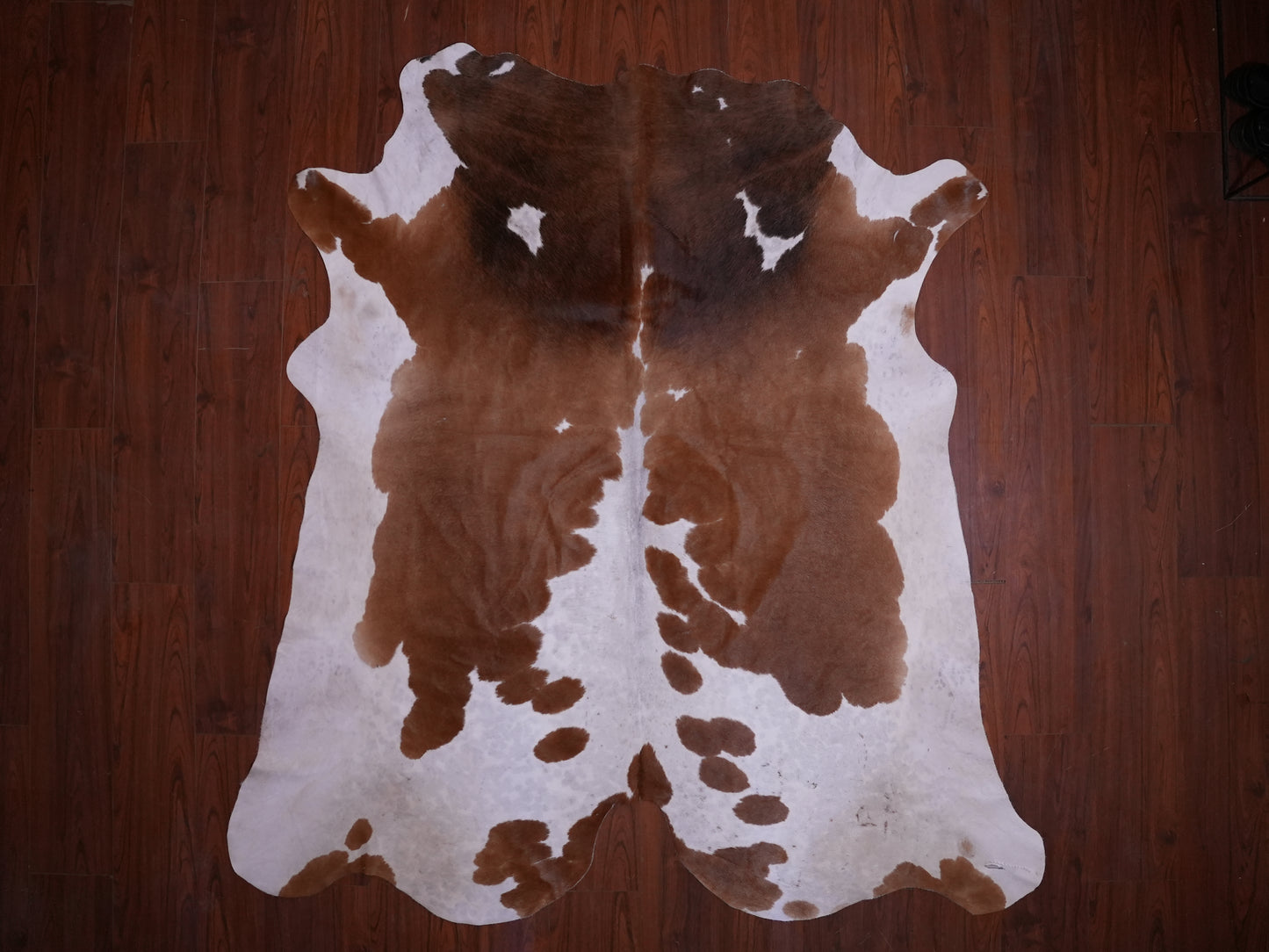 A Grade Nguni Hide 575 (Brown/White) (L)