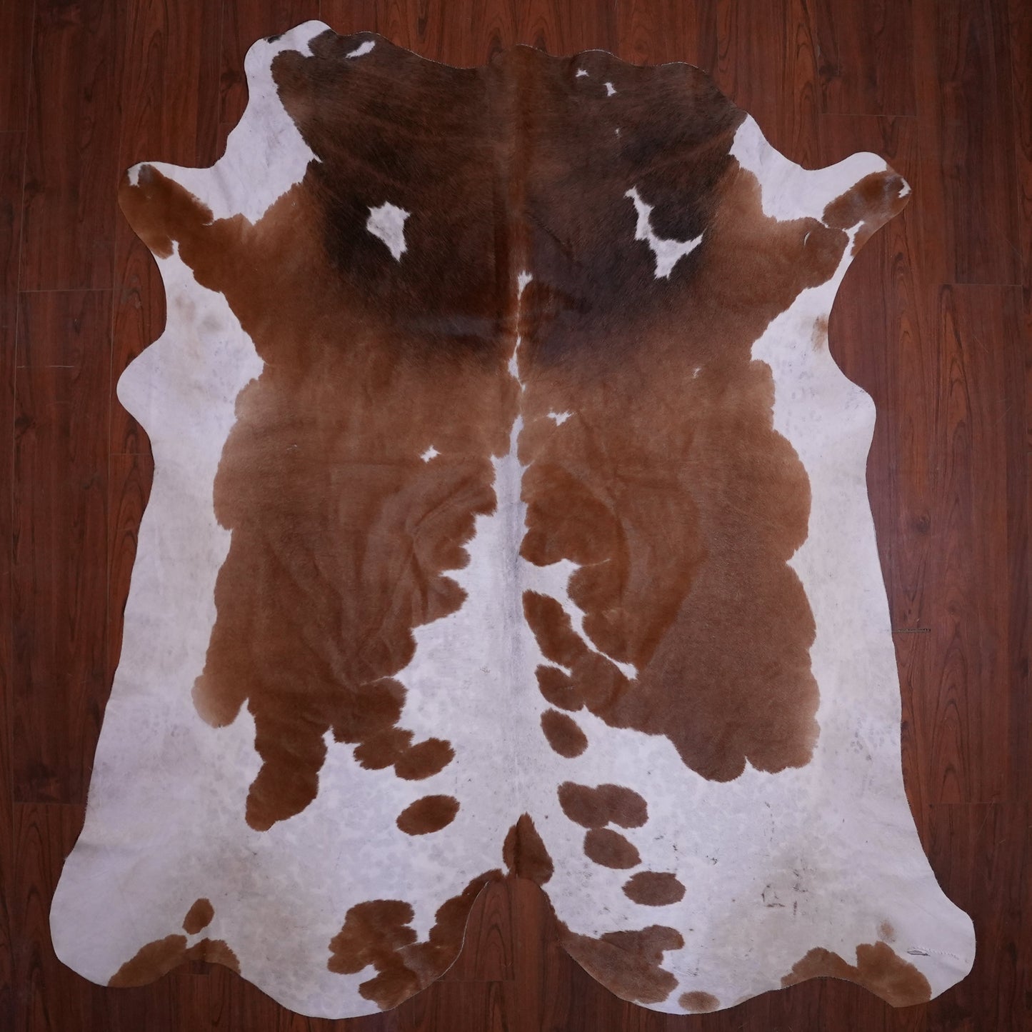 A Grade Nguni Hide 575 (Brown/White) (L)