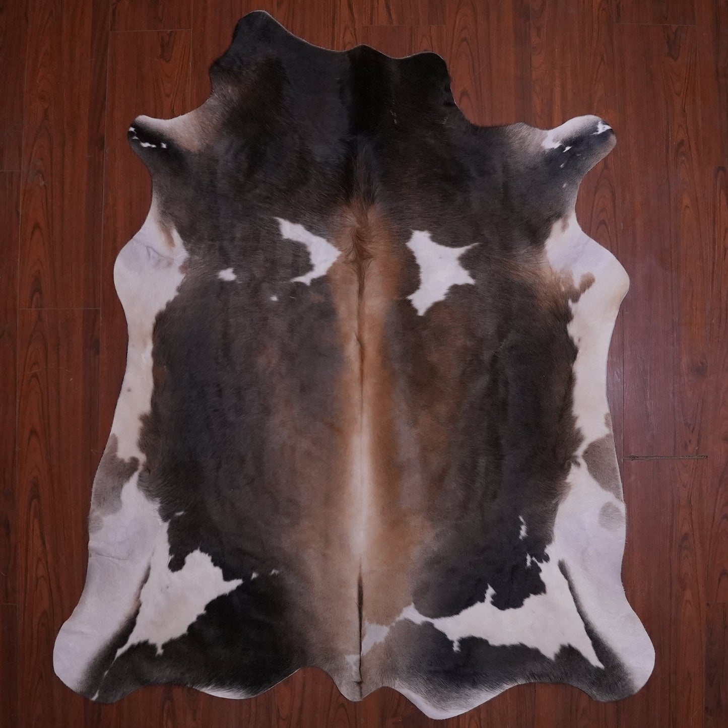 A Grade Nguni Hide 579 (Tricolor) (S)