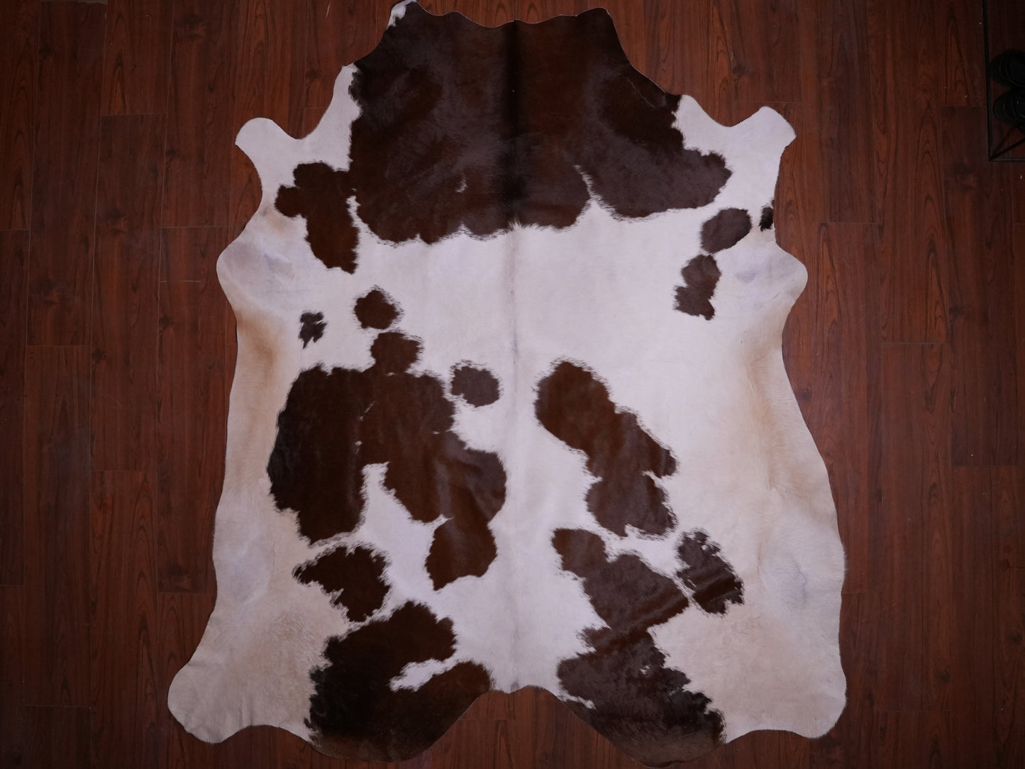 AA Grade Nguni Hide 586 (Brown/White) (XL)