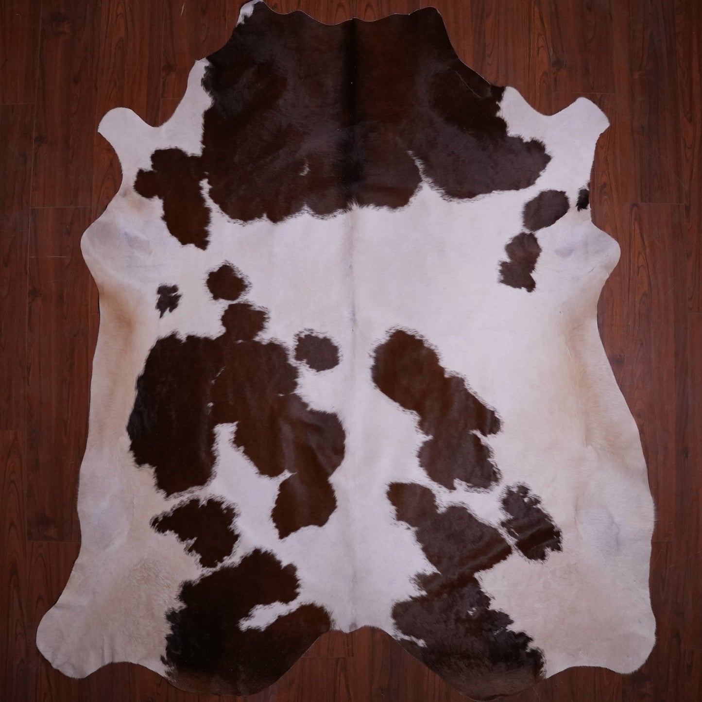 AA Grade Nguni Hide 586 (Brown/White) (XL)
