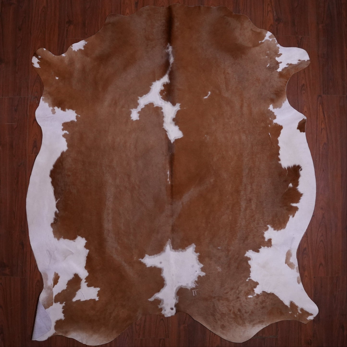 AS Grade Nguni Hide 590 (Brown/White) (L)