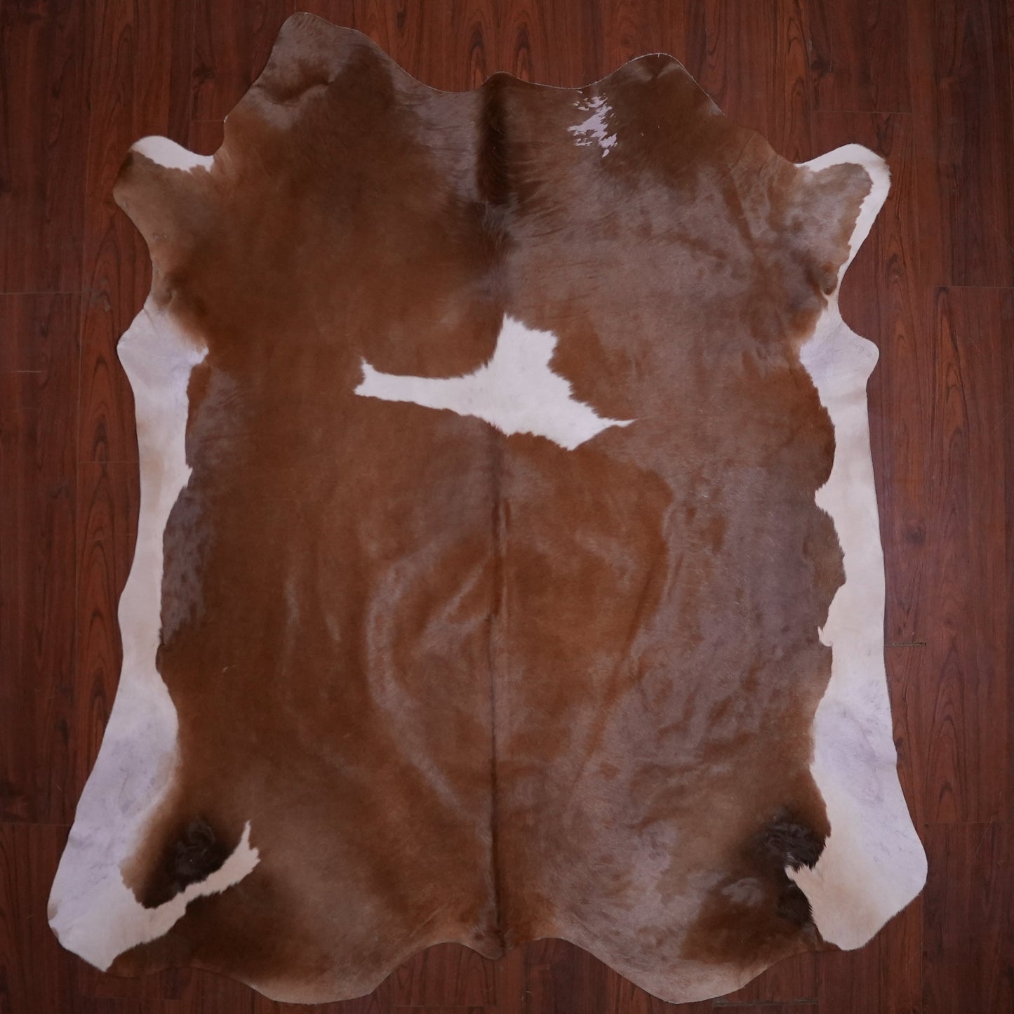 AS Grade Nguni Hide 589 (Brown/White) (L)