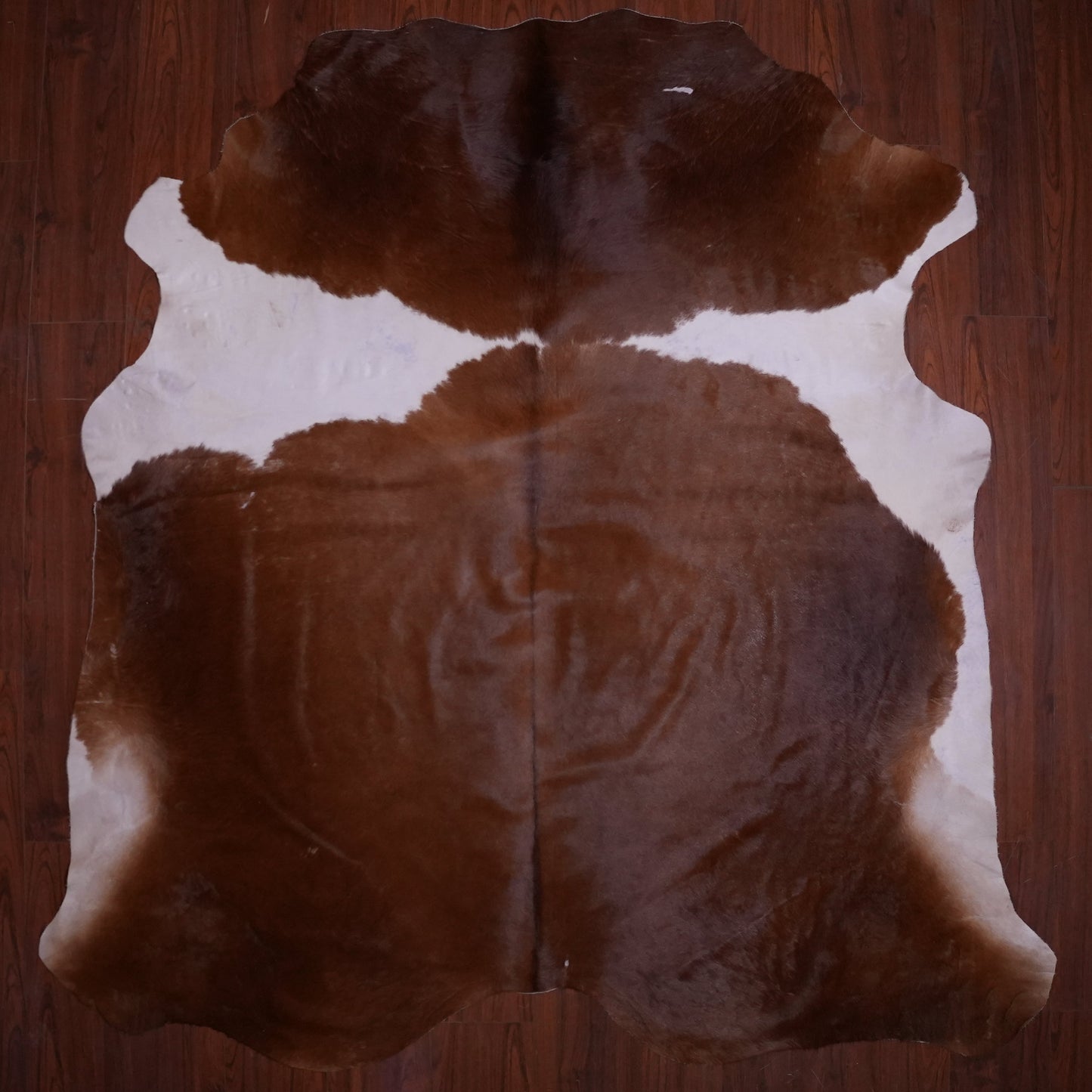 AA Grade Nguni Hide 593 (Brown/White) (XL)