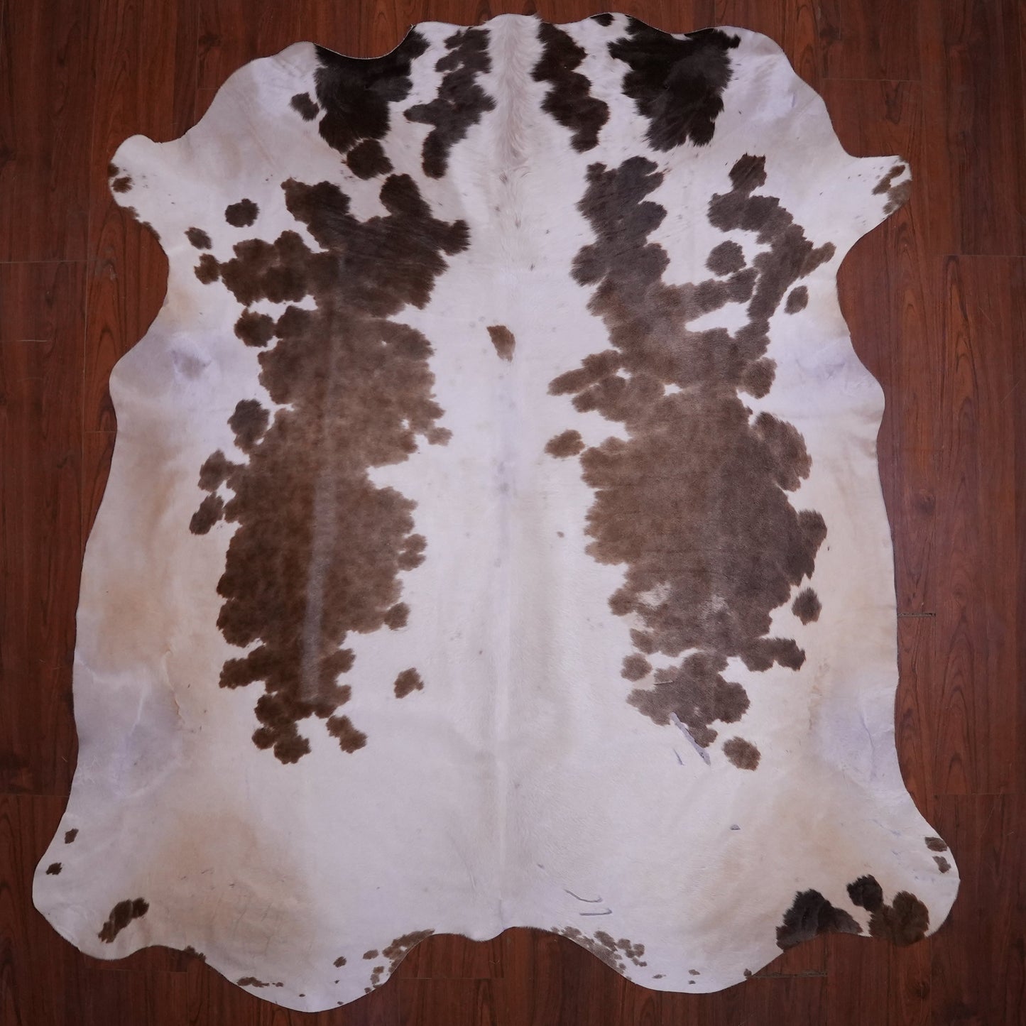 A Grade Nguni Hide 596 (Brown/White) (L)