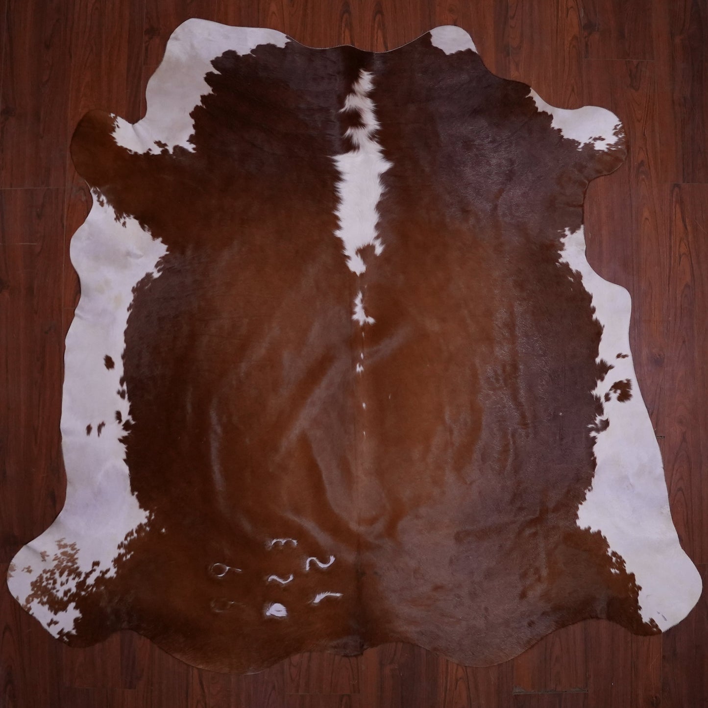 AA Grade Nguni Hide 597 (Brown/White) (M)
