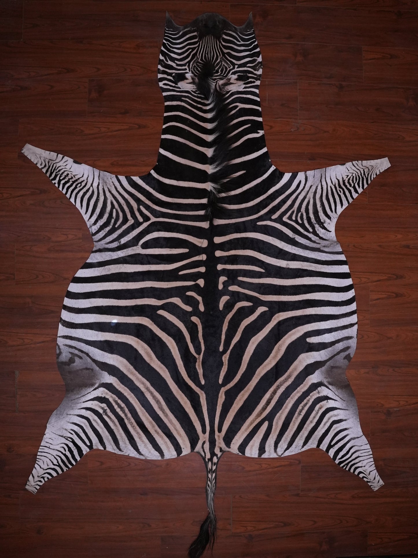 A GRADE ZEBRA HIDE 083 (M)