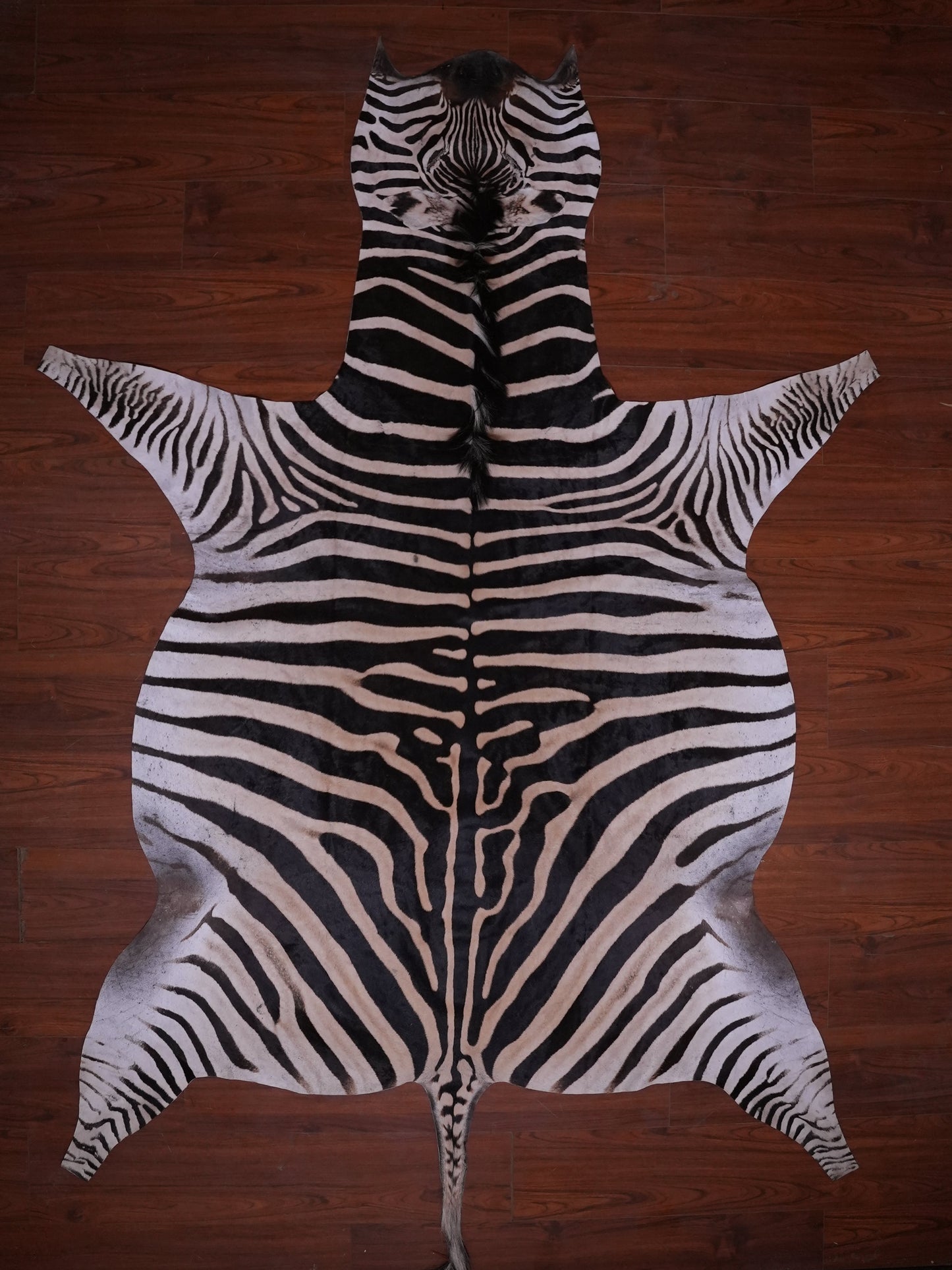 A GRADE ZEBRA HIDE 073 (M)