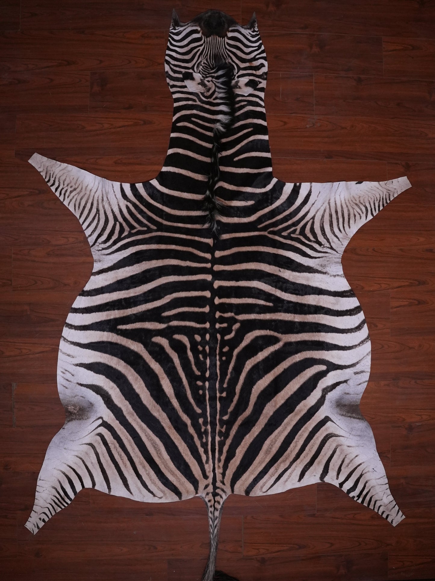 A GRADE ZEBRA HIDE 077 (M)