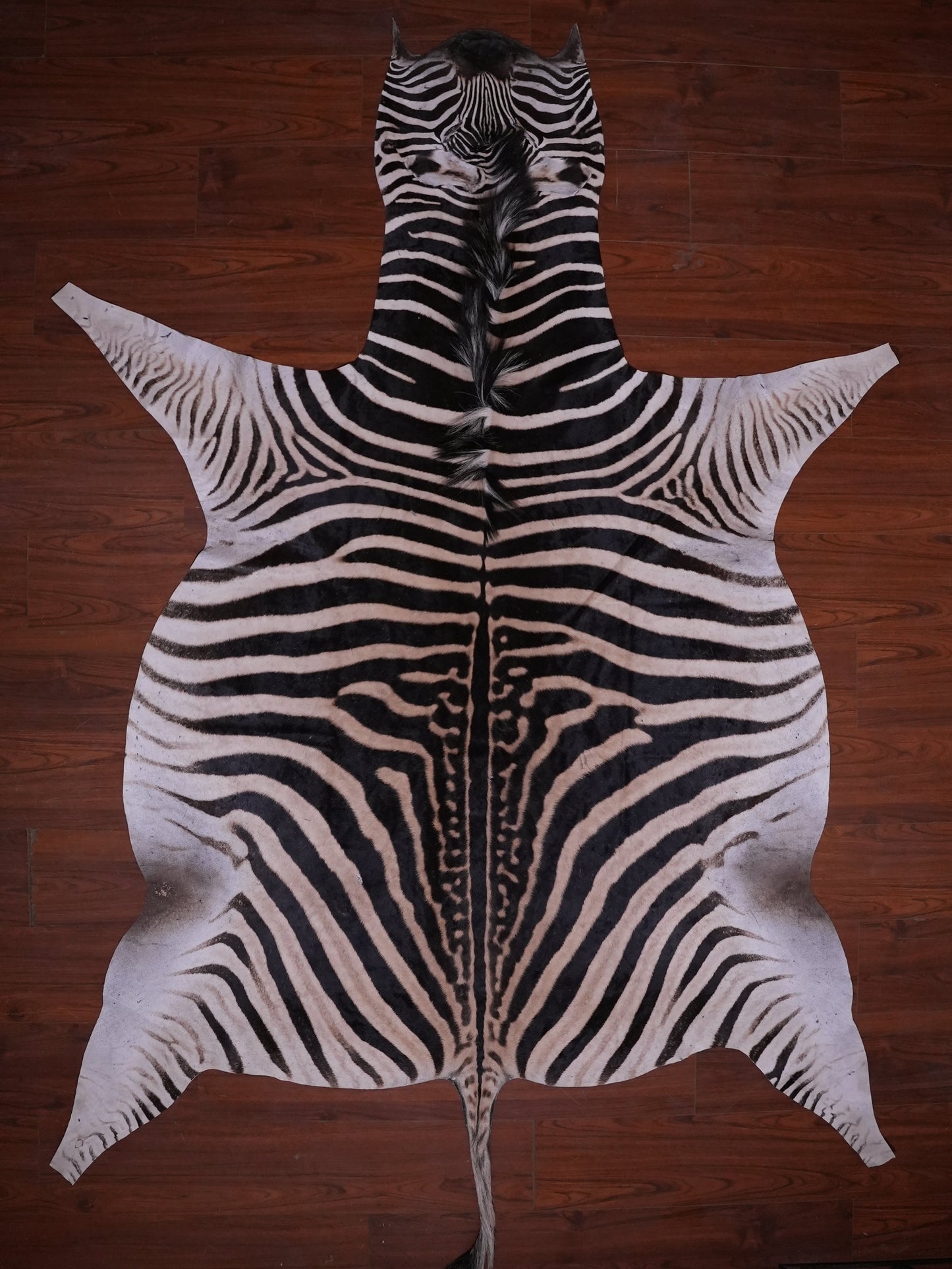 A GRADE ZEBRA HIDE 080 (M)