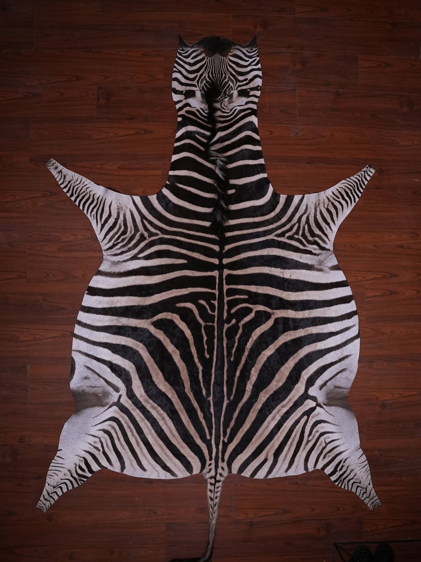 A GRADE ZEBRA HIDE 069 (M)