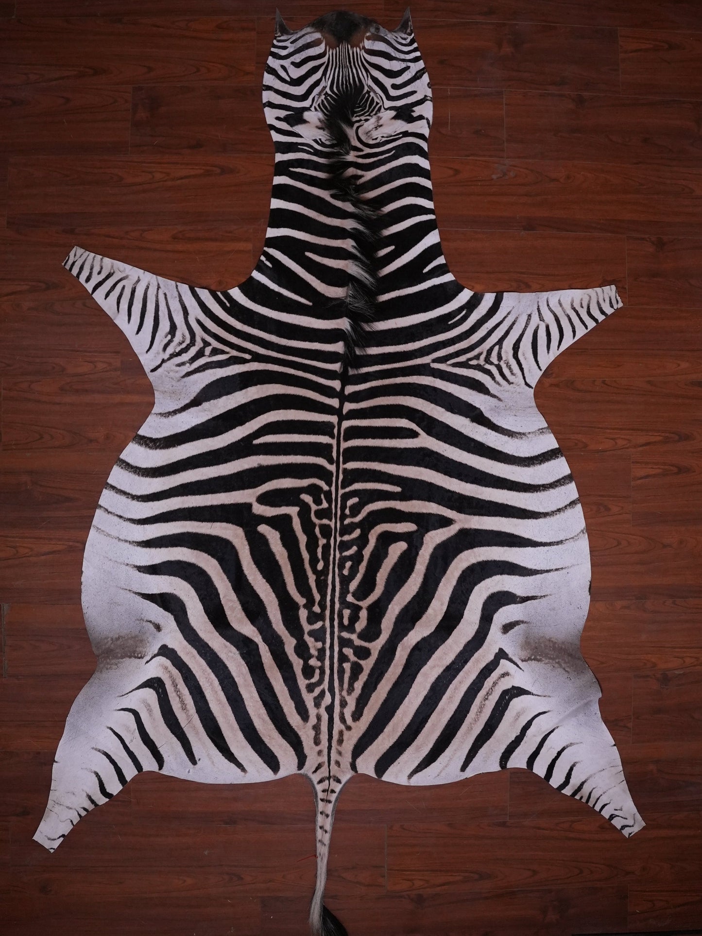 A GRADE ZEBRA HIDE 070 (M)