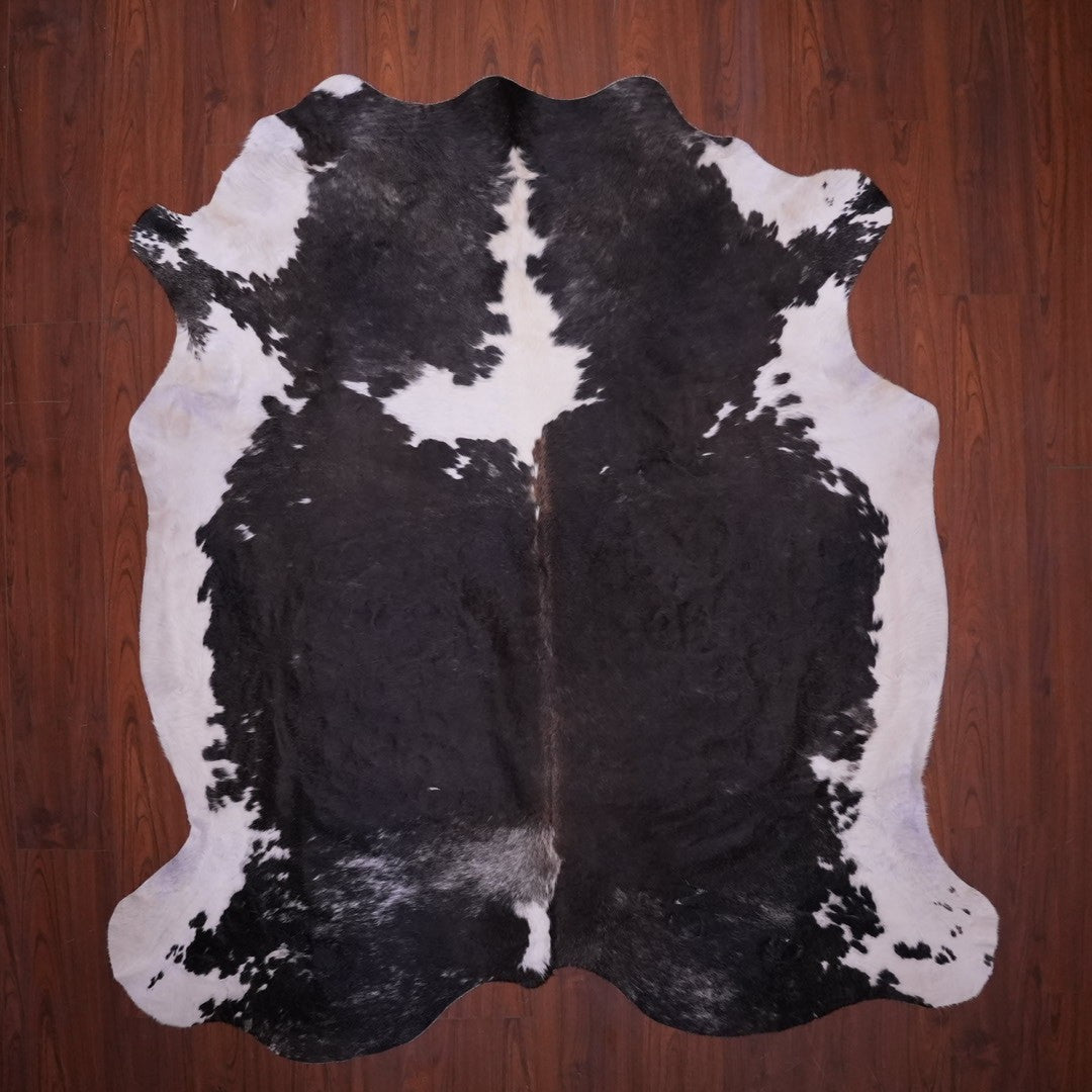 AS Grade Nguni Hide 664 (Tricolor) (L)
