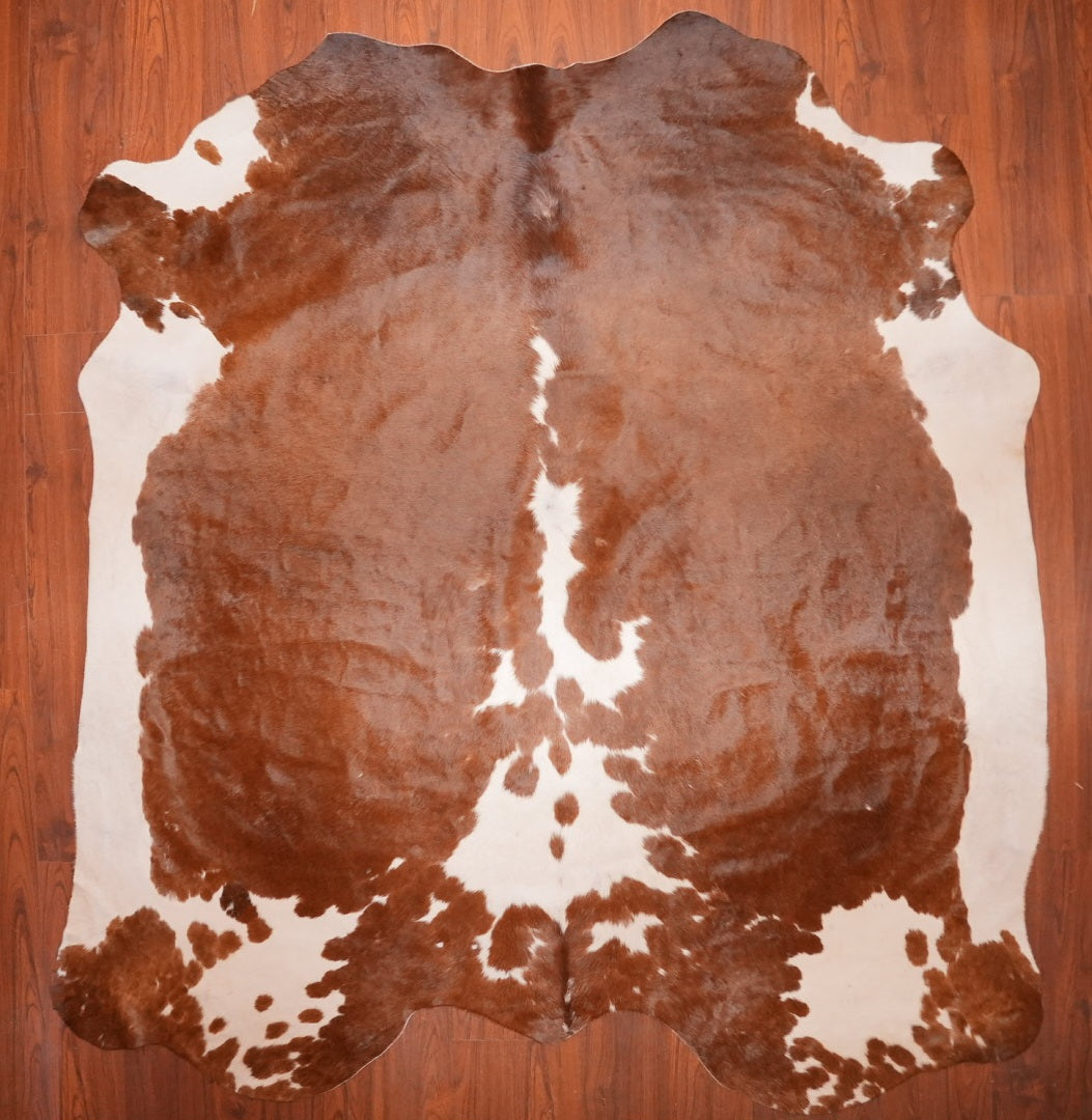 AS Grade Nguni Hide 707 (Brown/White) (XXL)