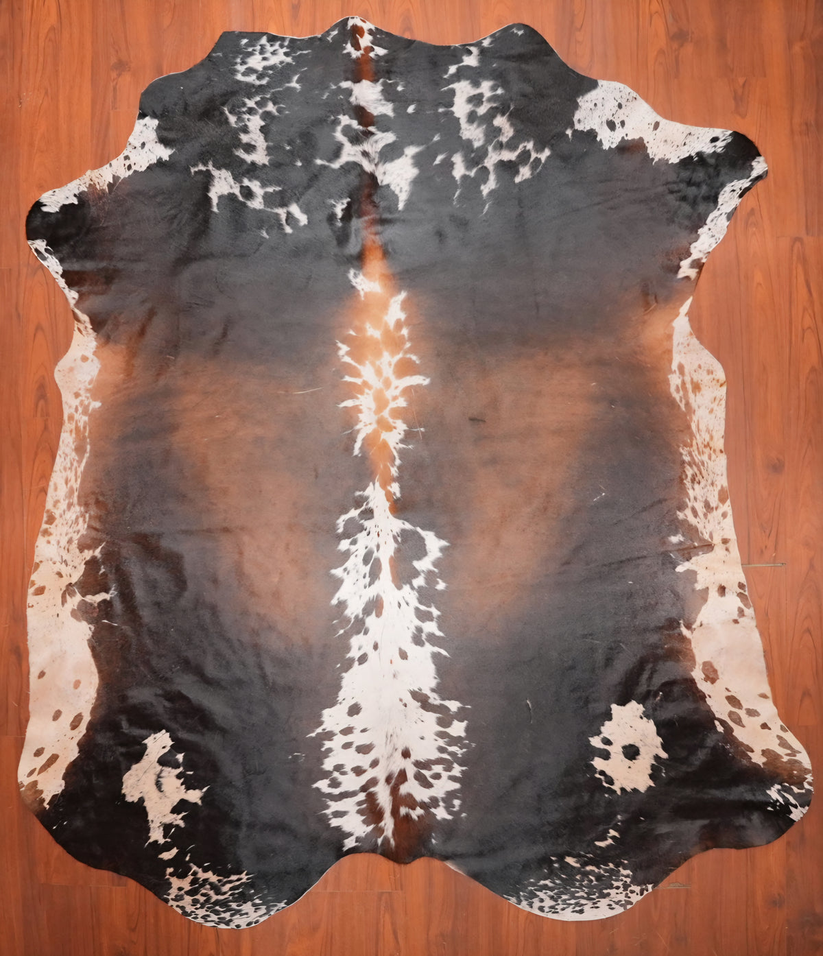 AS Grade Nguni Hide 699 (Tricolor) (L)