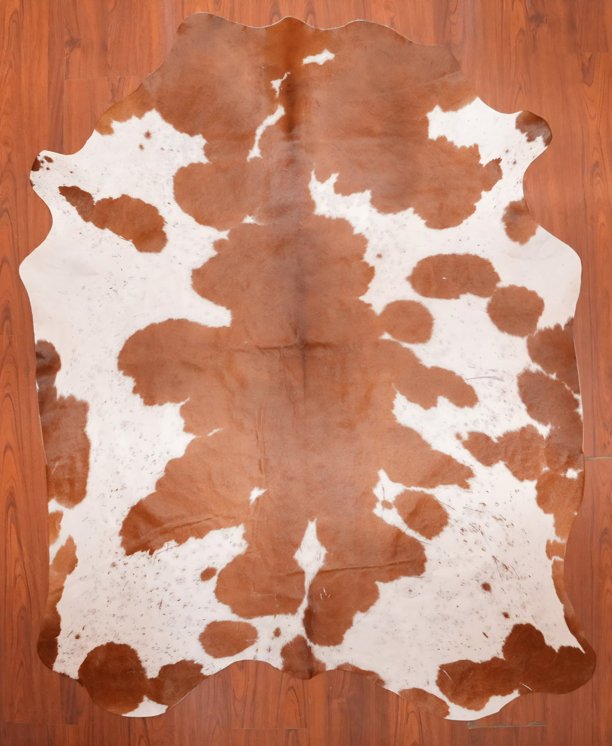 AS Grade Nguni Hide 700 (Brown/White) (M)