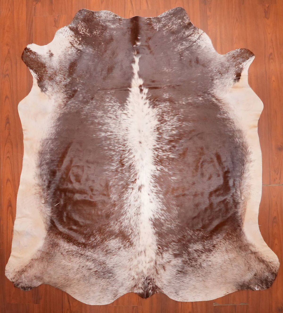AS Grade Nguni Hide 704 (Brown/White) (M)