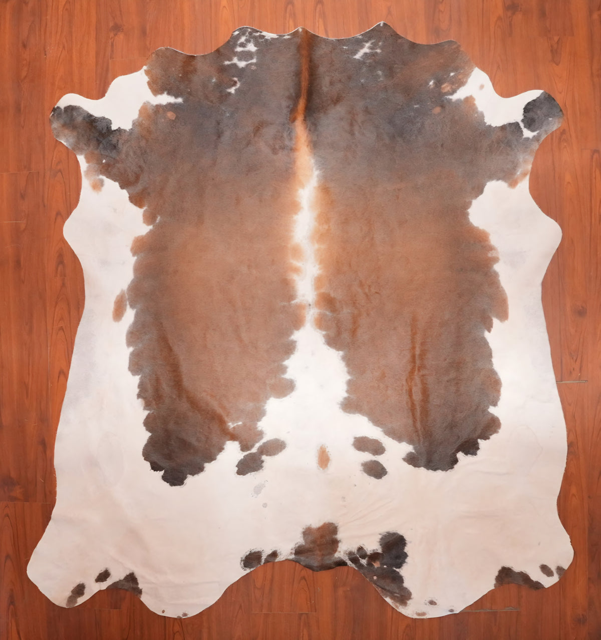 AS Grade Nguni Hide 693 (Tricolor) (M)