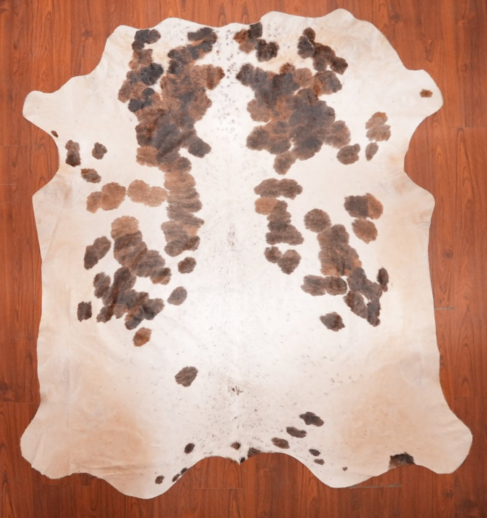AA Grade Nguni Hide 709 (Tricolor) (M)