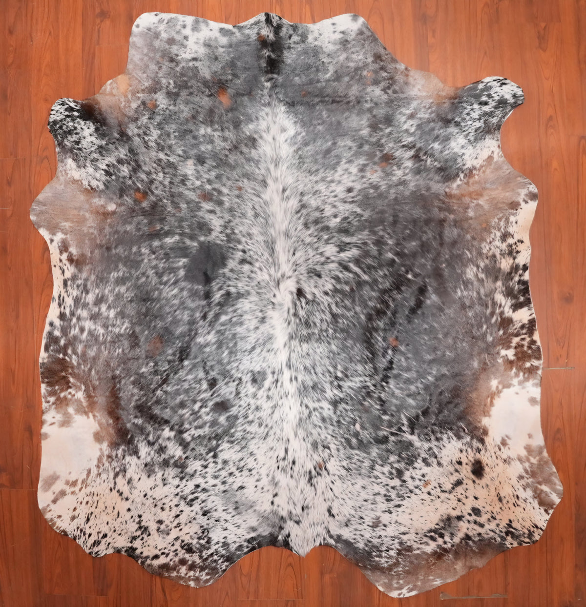 AS Grade Nguni Hide 712 (Tricolor) (M)