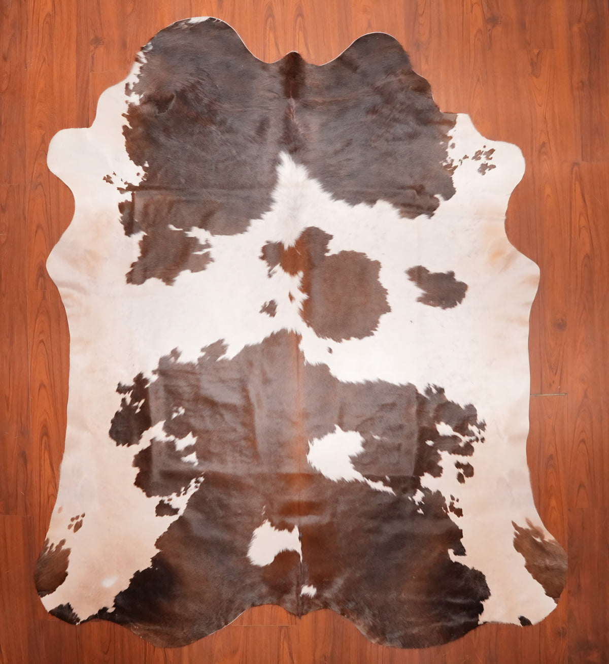 AS Grade Nguni Hide 723 (Brown/White) (L)