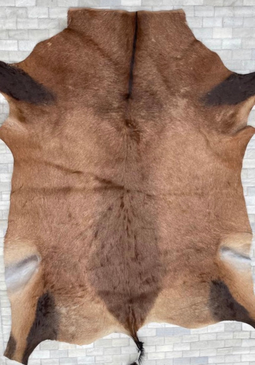 A Grade Hartebeest Hide