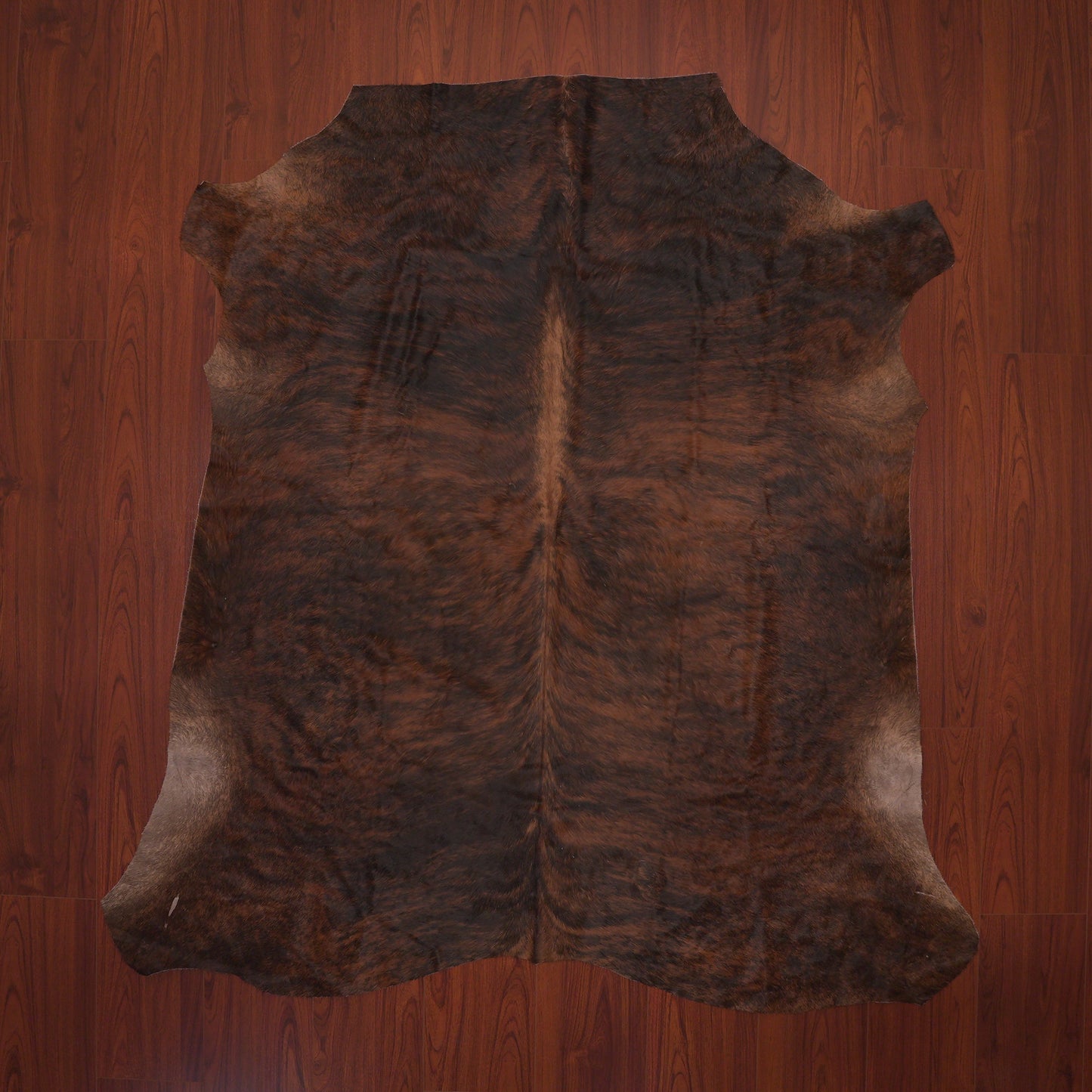 AS Grade Nguni Hide 480 (Tricolour) (L)