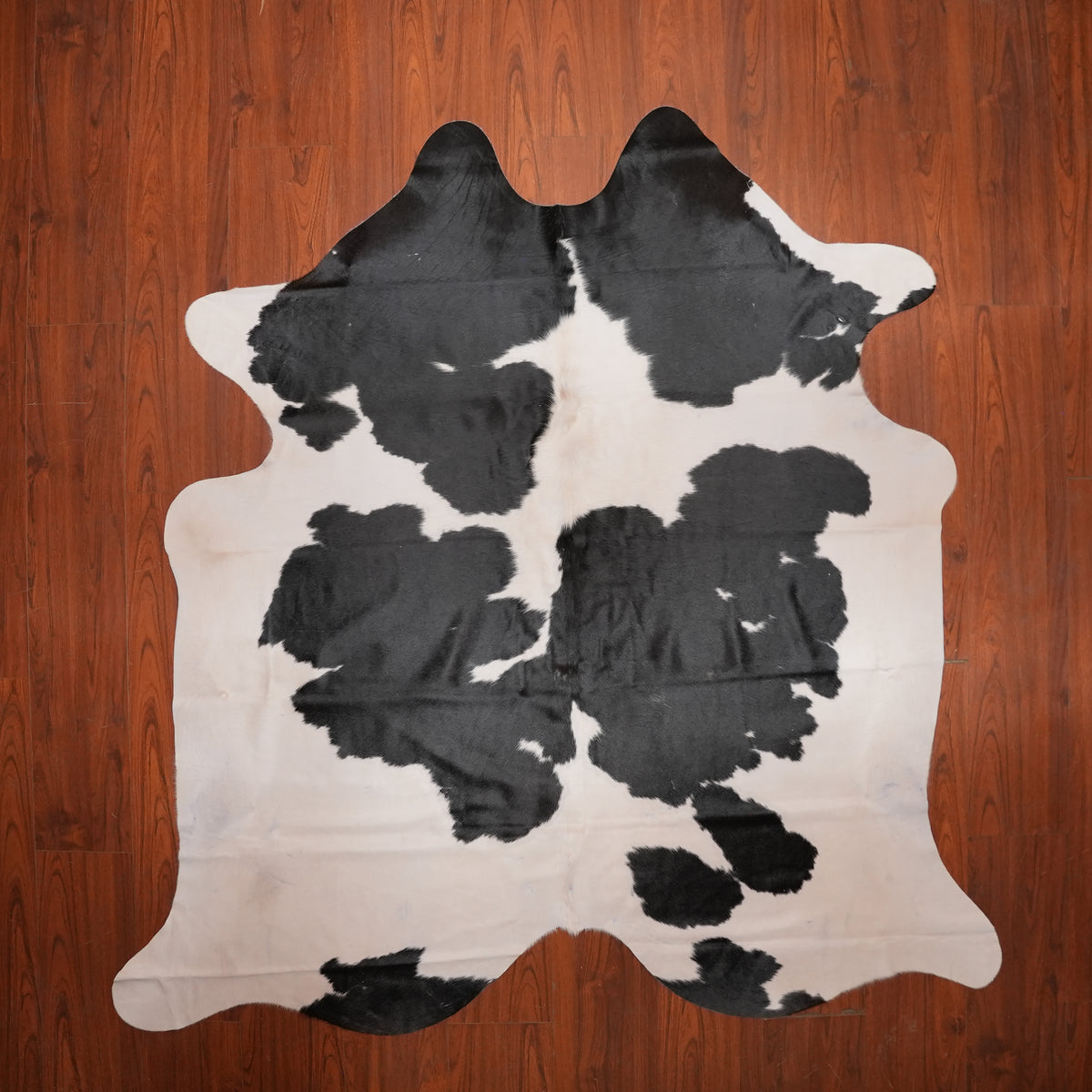 High-Contrast Black cow hide rug, 210 x 207 cm, genuine cowhide