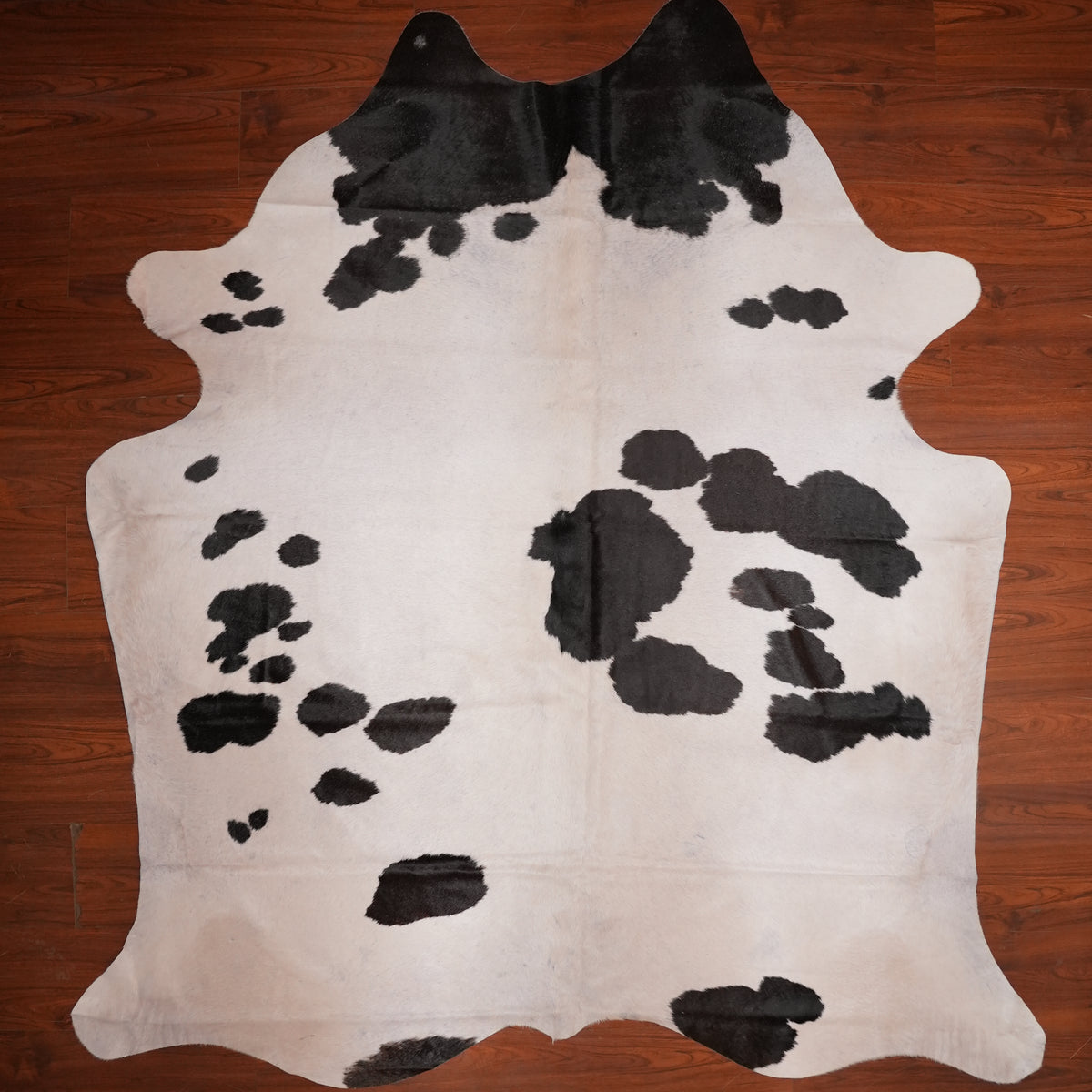 Spotted Black cow hide rug, 248 x 223 cm, genuine cowhide