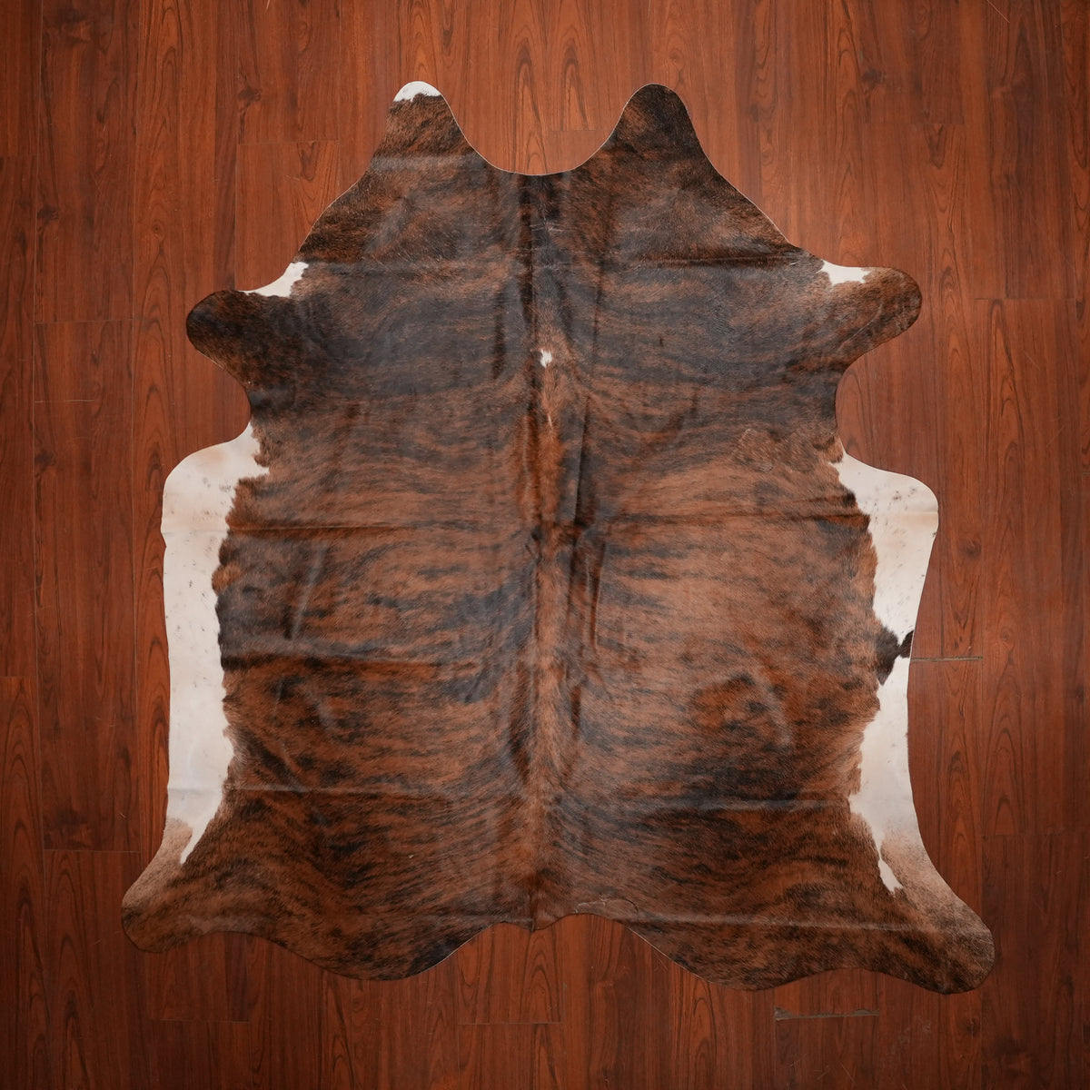 Rich Mahogany Brindle cow hide rug, 204 x 201 cm, genuine cowhide