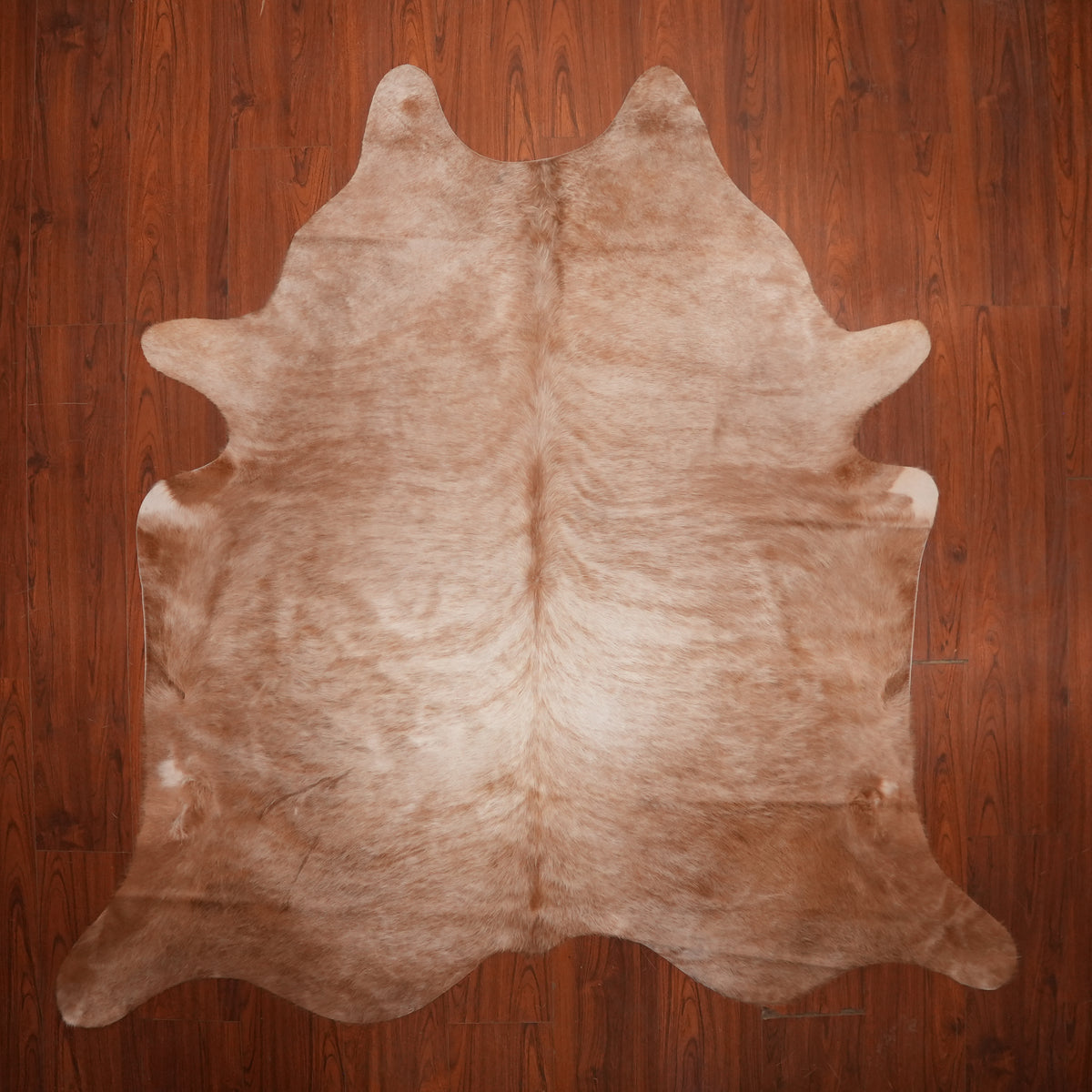 Soft Caramel Brindle cow hide rug, 220 x 224 cm, genuine cowhide
