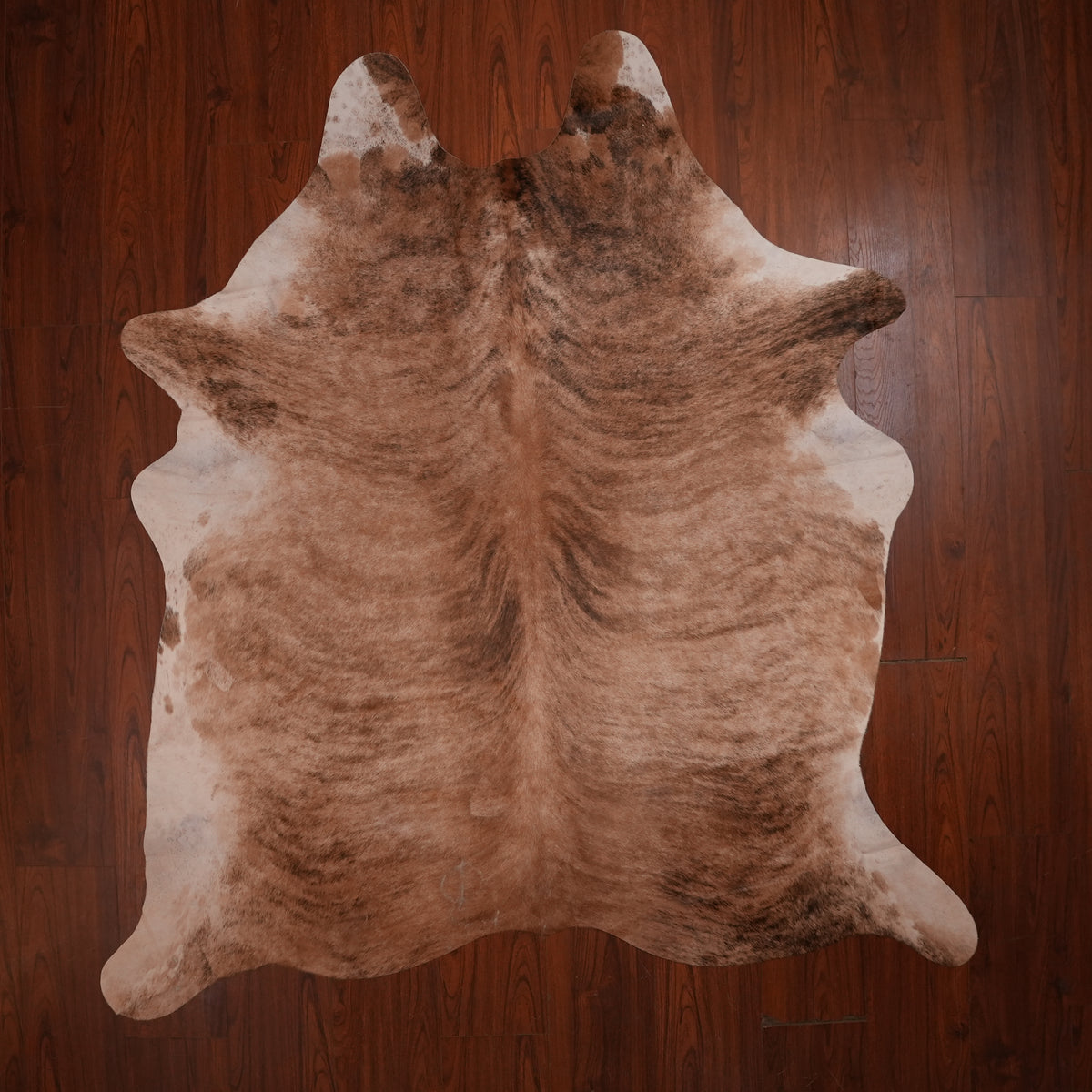 Caramel Tiger-Stripe Brindle cow hide rug, 226 x 197 cm, genuine cowhide