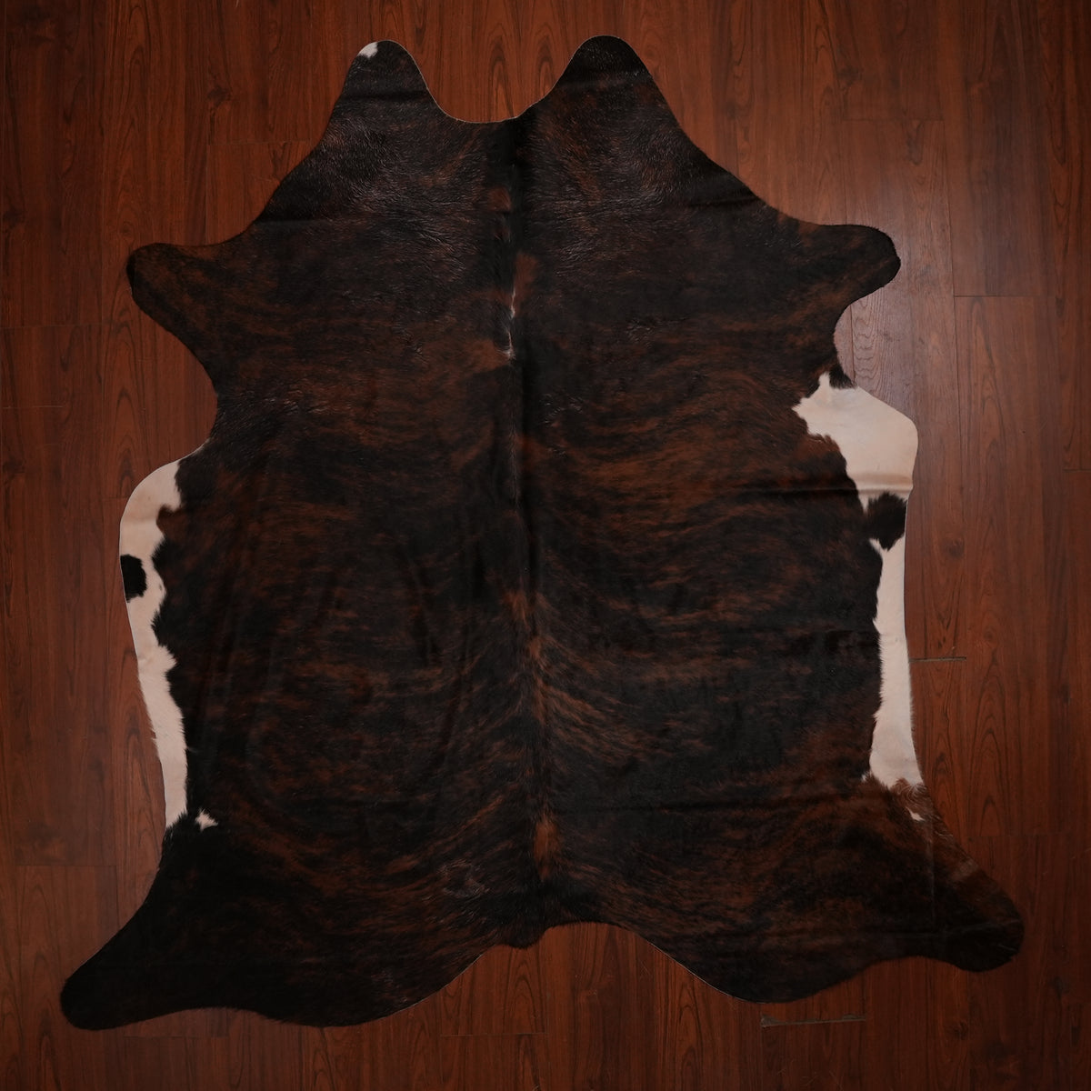 Dark Espresso Brindle cow hide rug, 235 x 218 cm, genuine cowhide