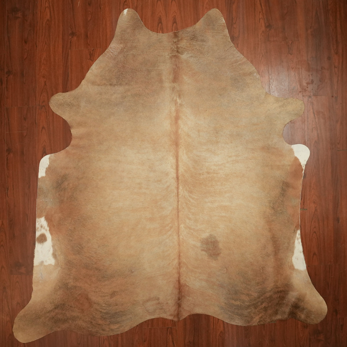 Warm Caramel Brindle cow hide rug, 250 x 231 cm, genuine cowhide