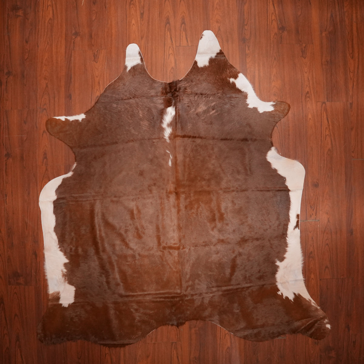 Rich Chestnut Brown cow hide rug, 206 x 203 cm, genuine cowhide