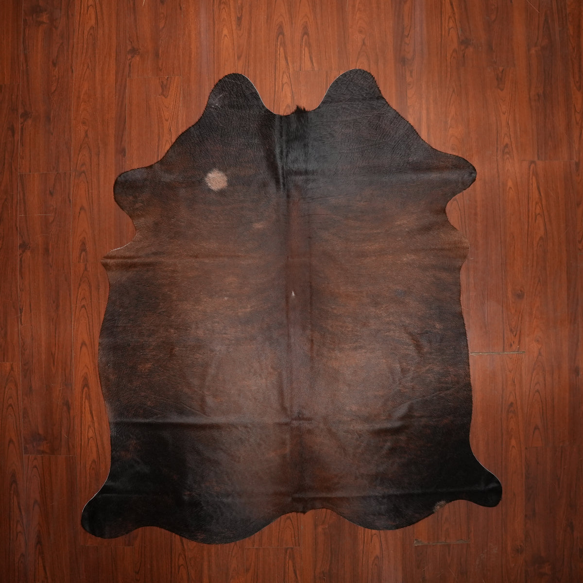 Deep Espresso Brown cow hide rug, 207 x 179 cm, genuine cowhide