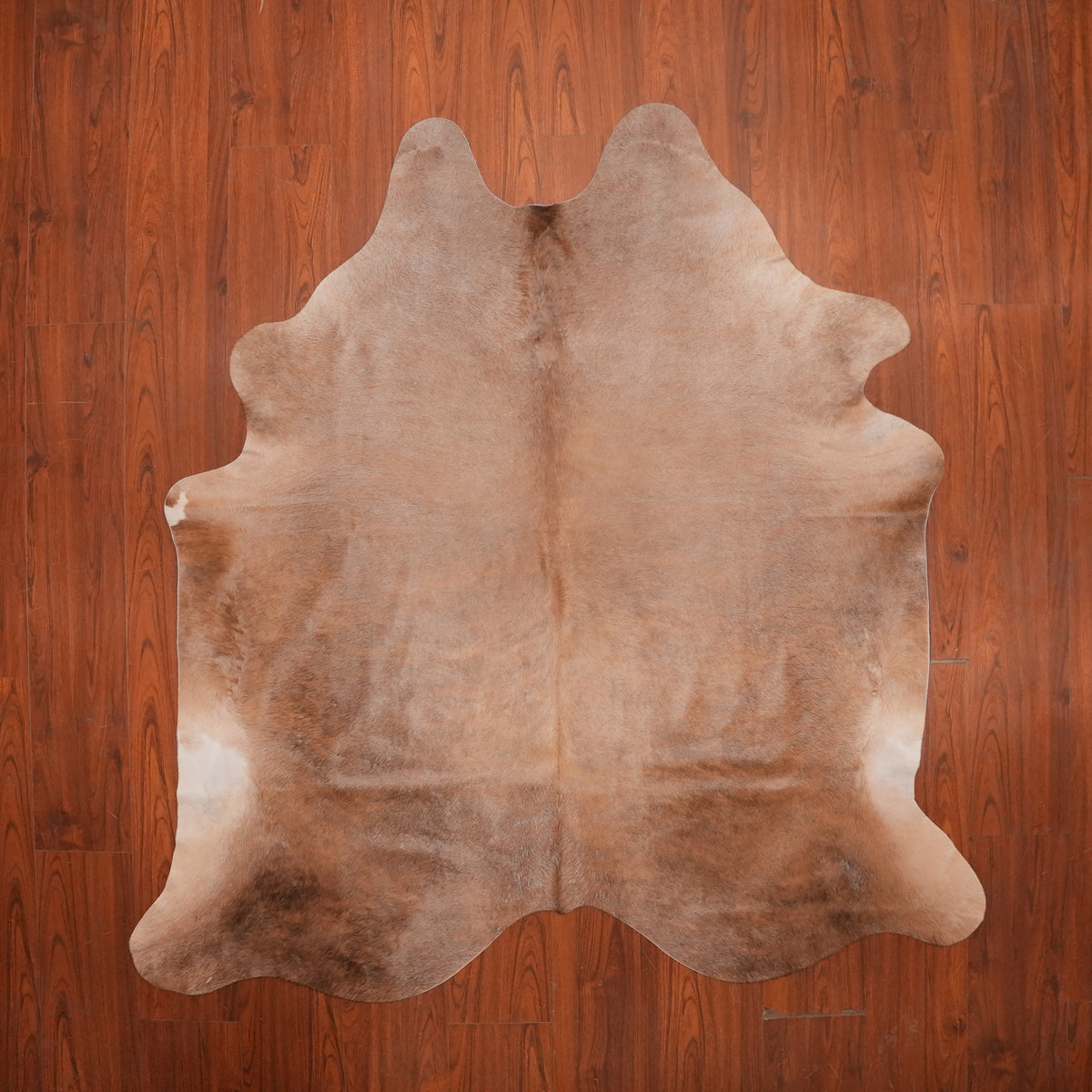 Soft Caramel Brown cow hide rug, 209 x 196 cm, genuine cowhide