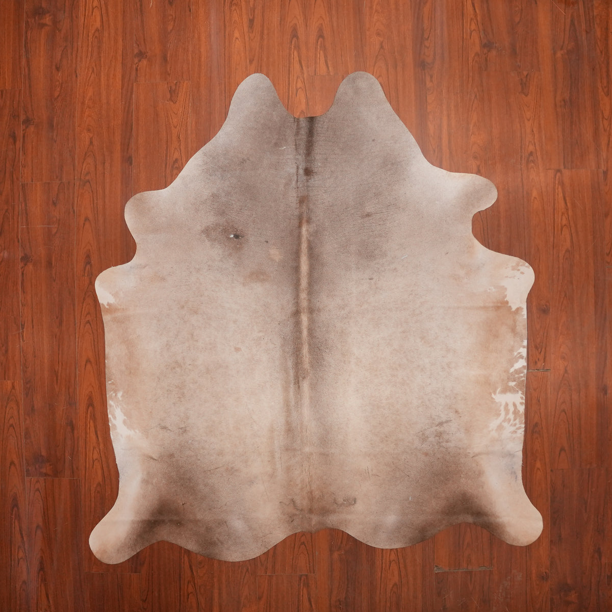 Soft Taupe Brown cow hide rug, 210 x 187 cm, genuine cowhide