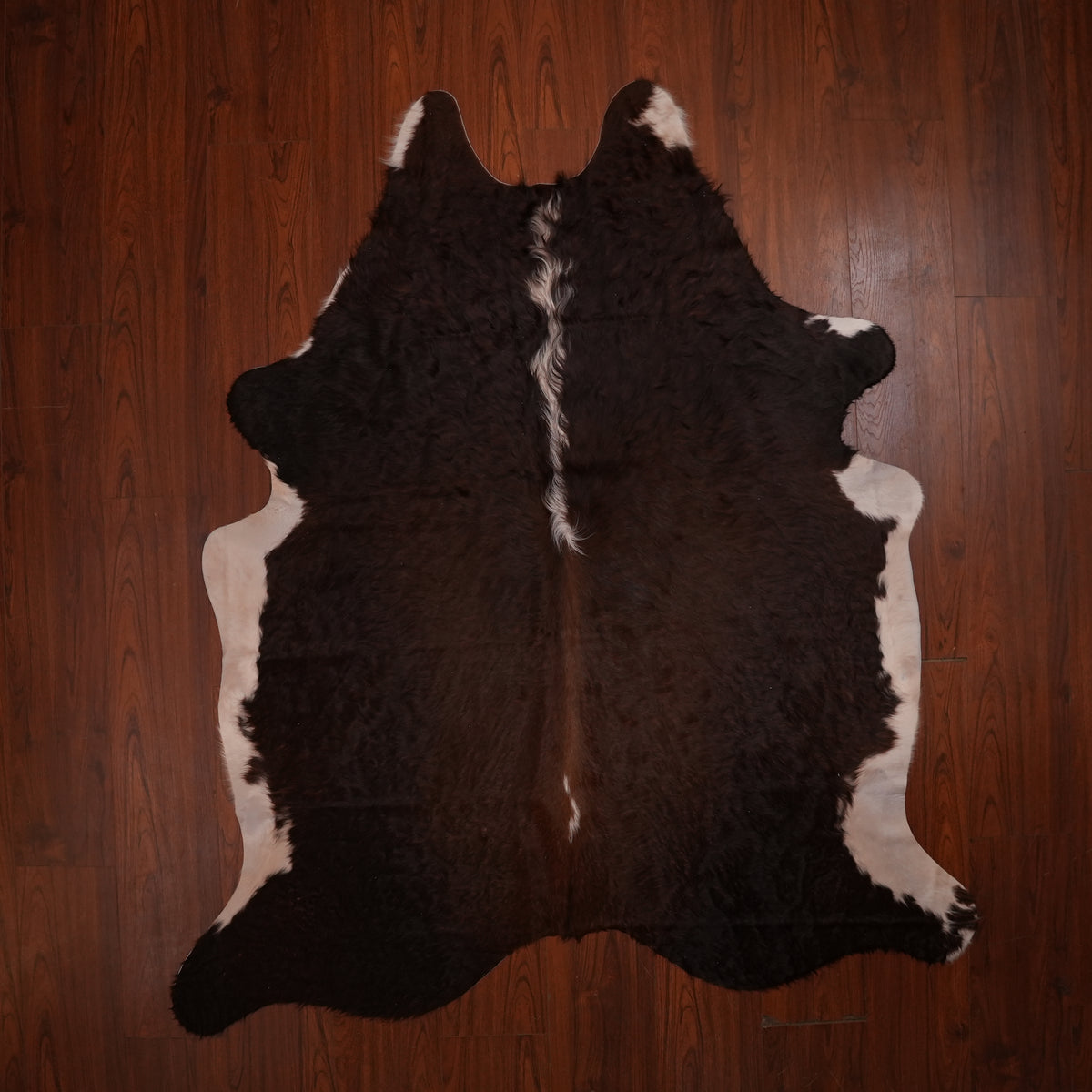 Dark Espresso Brown cow hide rug, 219 x 189 cm, genuine cowhide