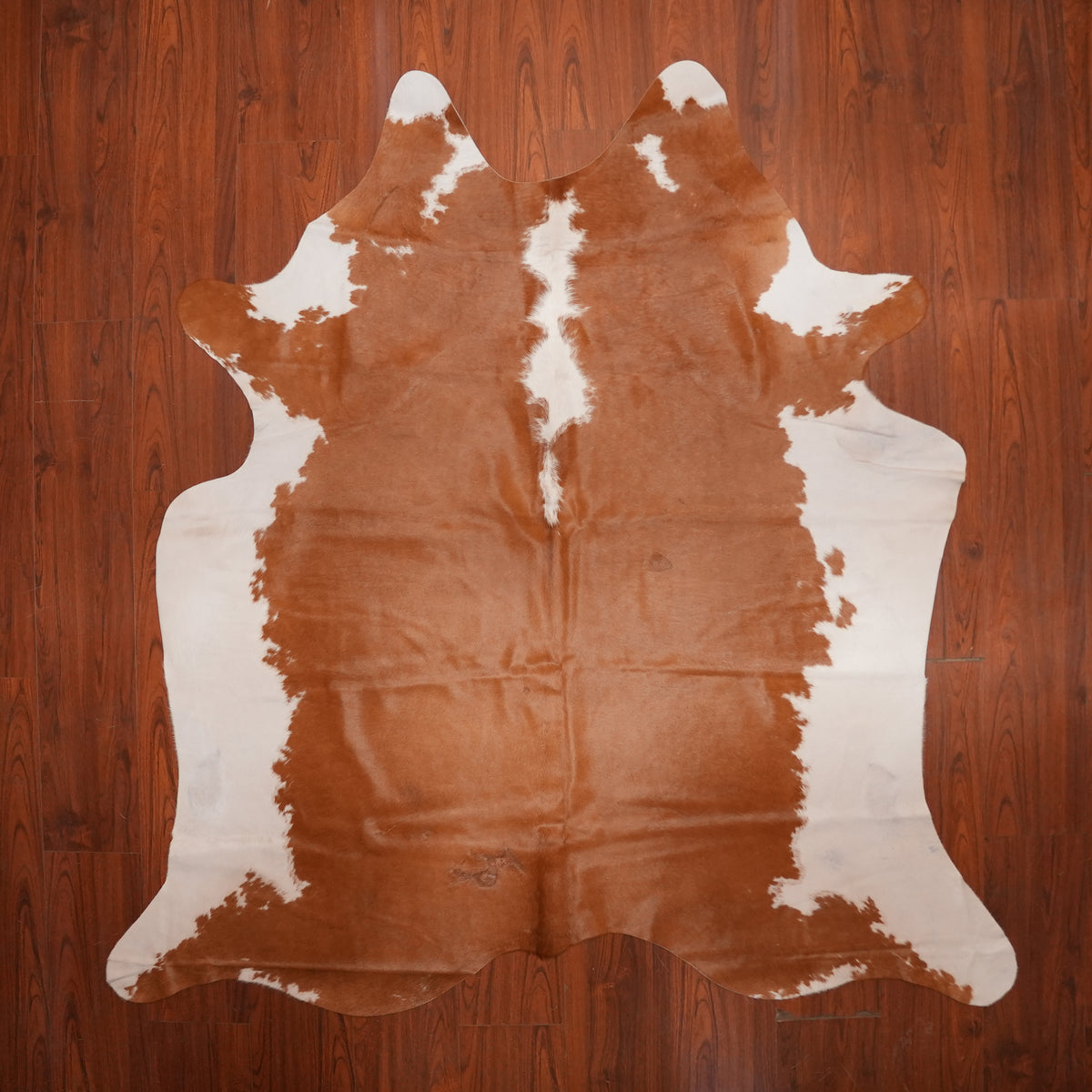 Hereford Contrast Brown cow hide rug, 223 x 209 cm, genuine cowhide