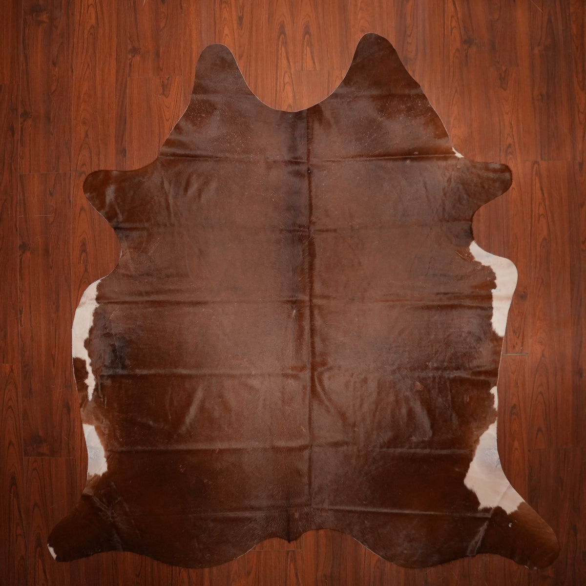 Rich Chestnut Brown cow hide rug, 223 x 221 cm, genuine cowhide
