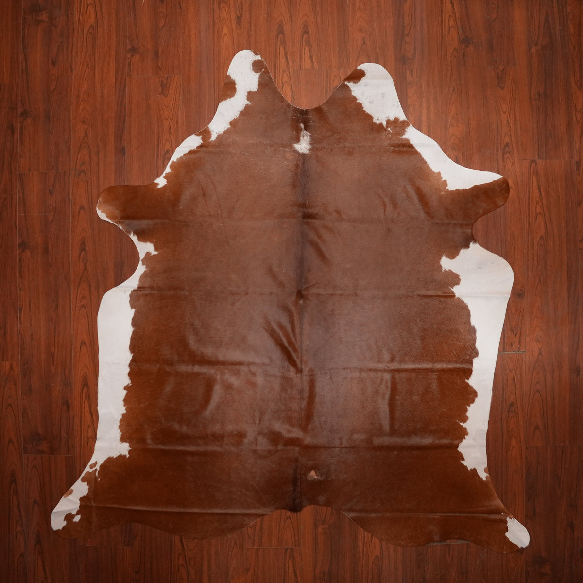 Rich Chestnut Brown cow hide rug, 225 x 205 cm, genuine cowhide