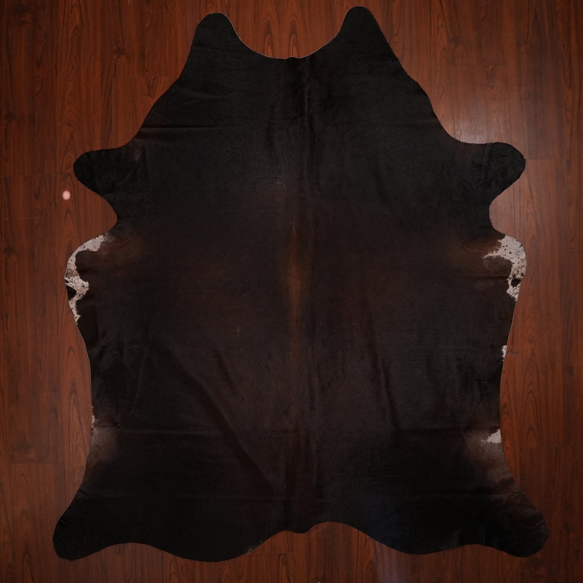 Dark Espresso Brown cow hide rug, 235 x 210 cm, genuine cowhide