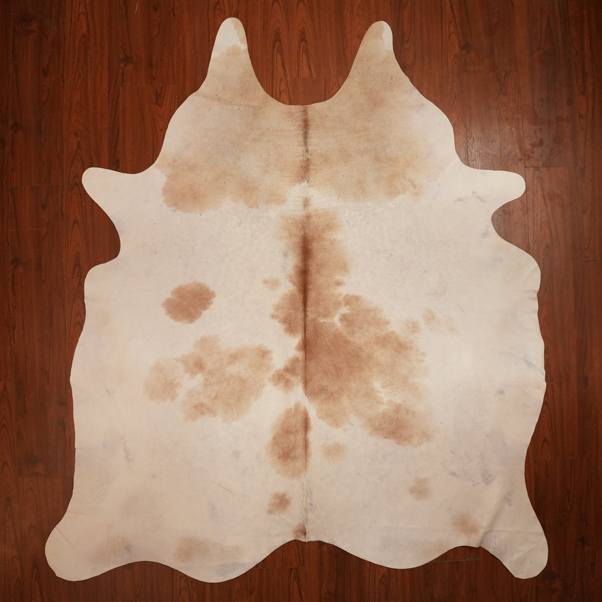 Creamy Caramel Brown cow hide rug, 247 x 213 cm, genuine cowhide