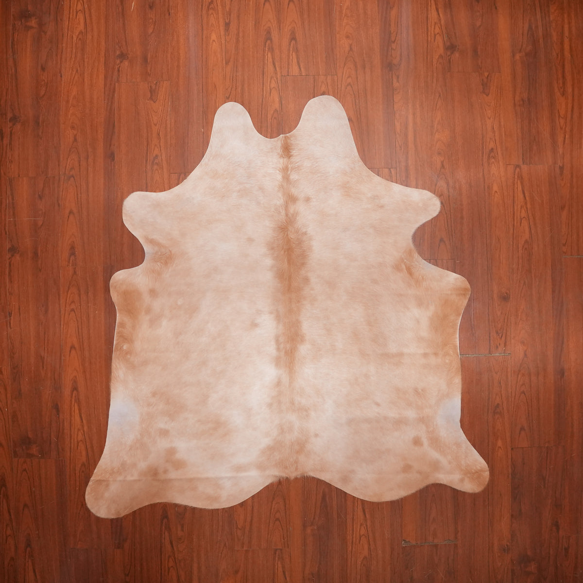 Soft Cloudy Caramel cow hide rug, 183 x 178 cm, genuine cowhide
